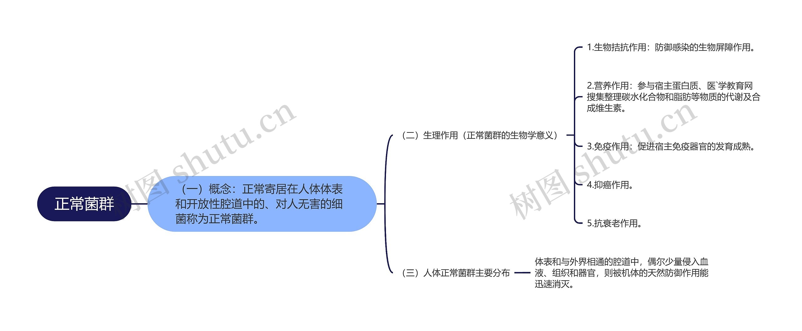 正常菌群思维导图