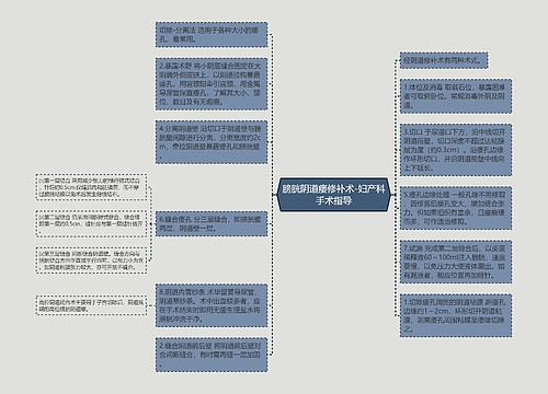 膀胱阴道瘘修补术-妇产科手术指导