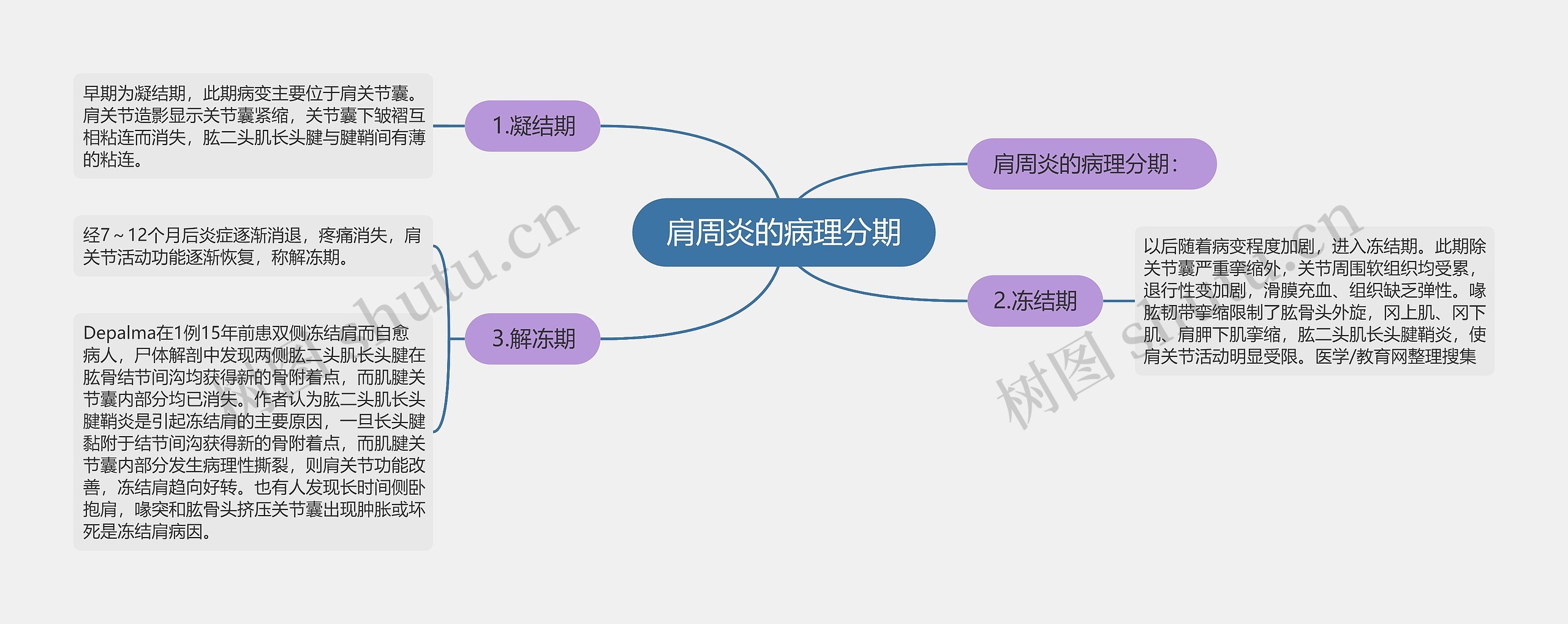 肩周炎的病理分期思维导图