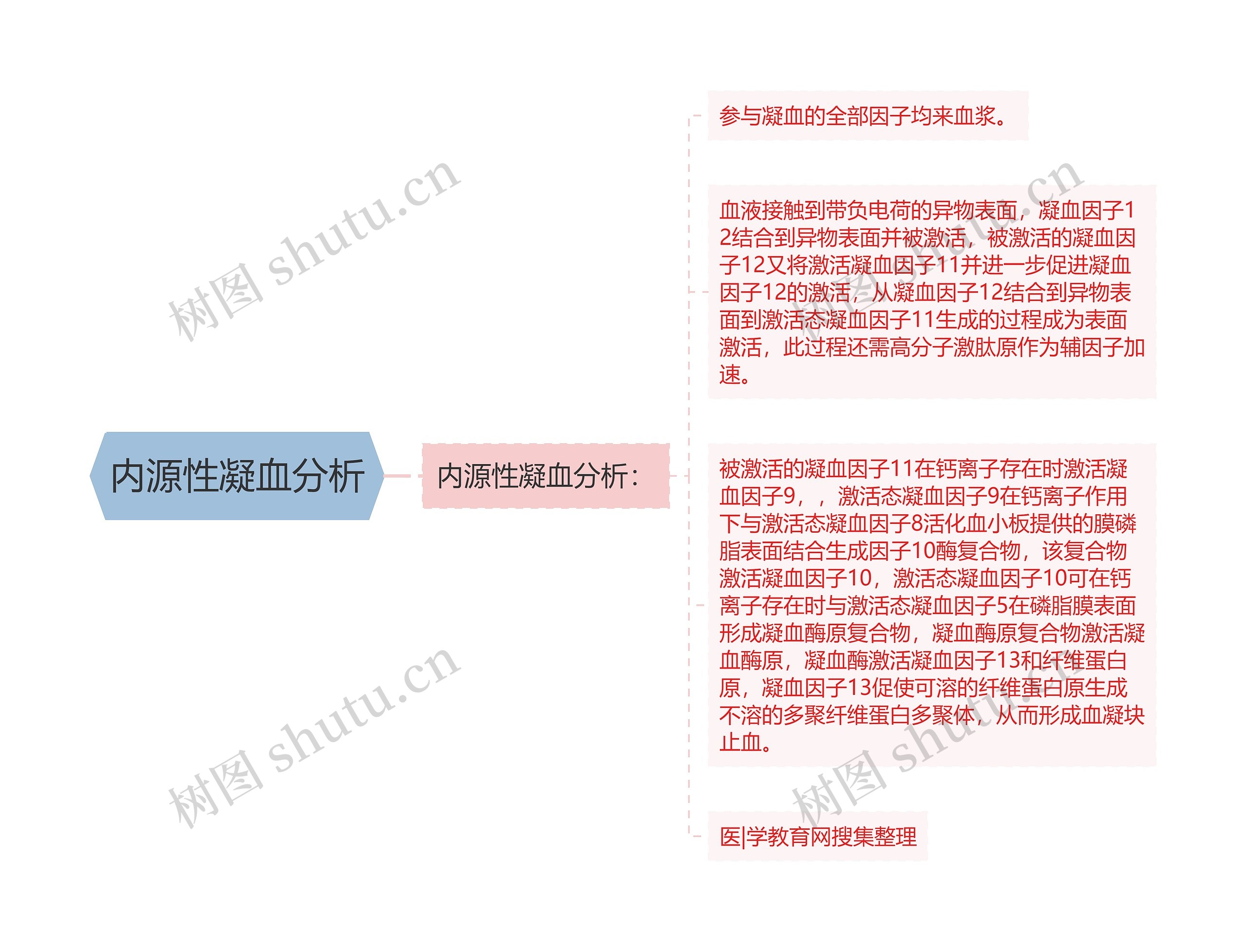 内源性凝血分析 内源性凝血分析