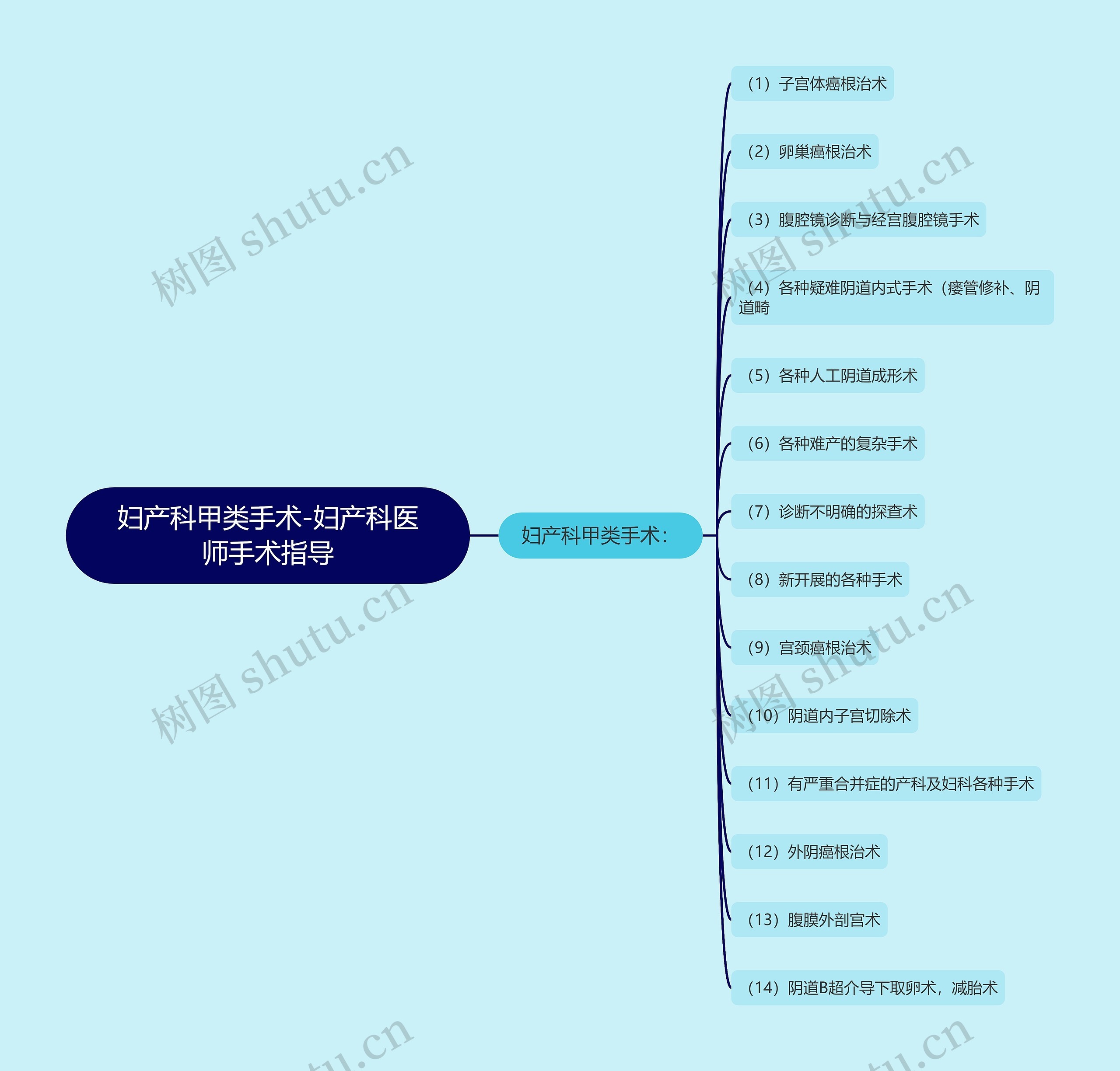 妇产科甲类手术-妇产科医师手术指导