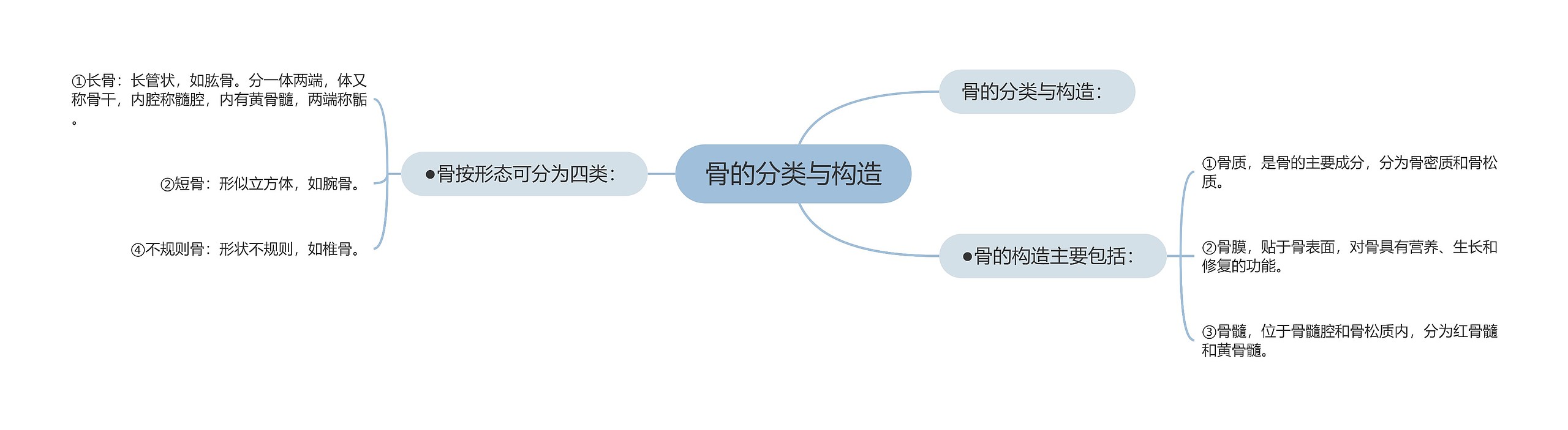 骨的分类与构造 骨的分类与构造