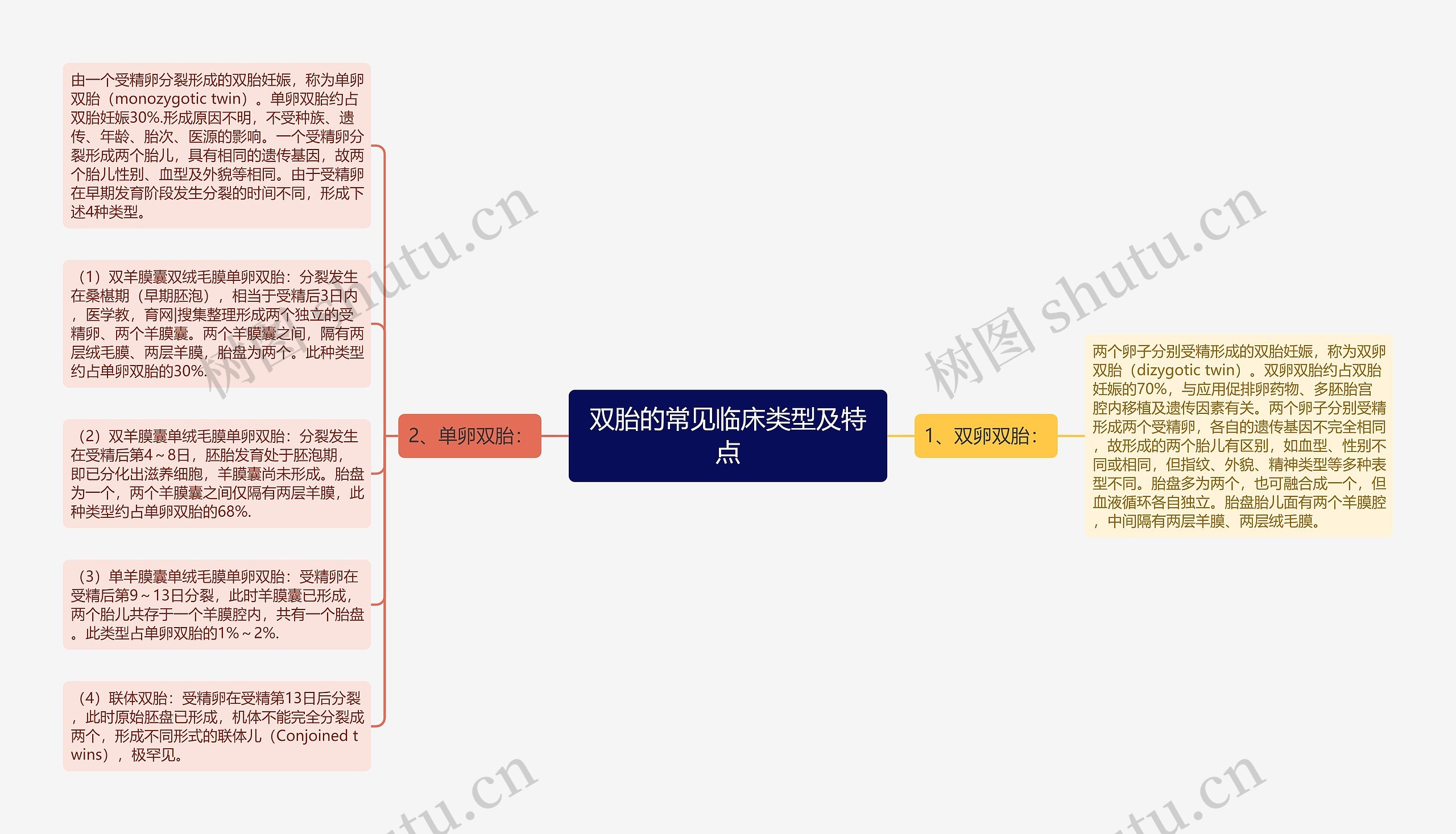 双胎的常见临床类型及特点