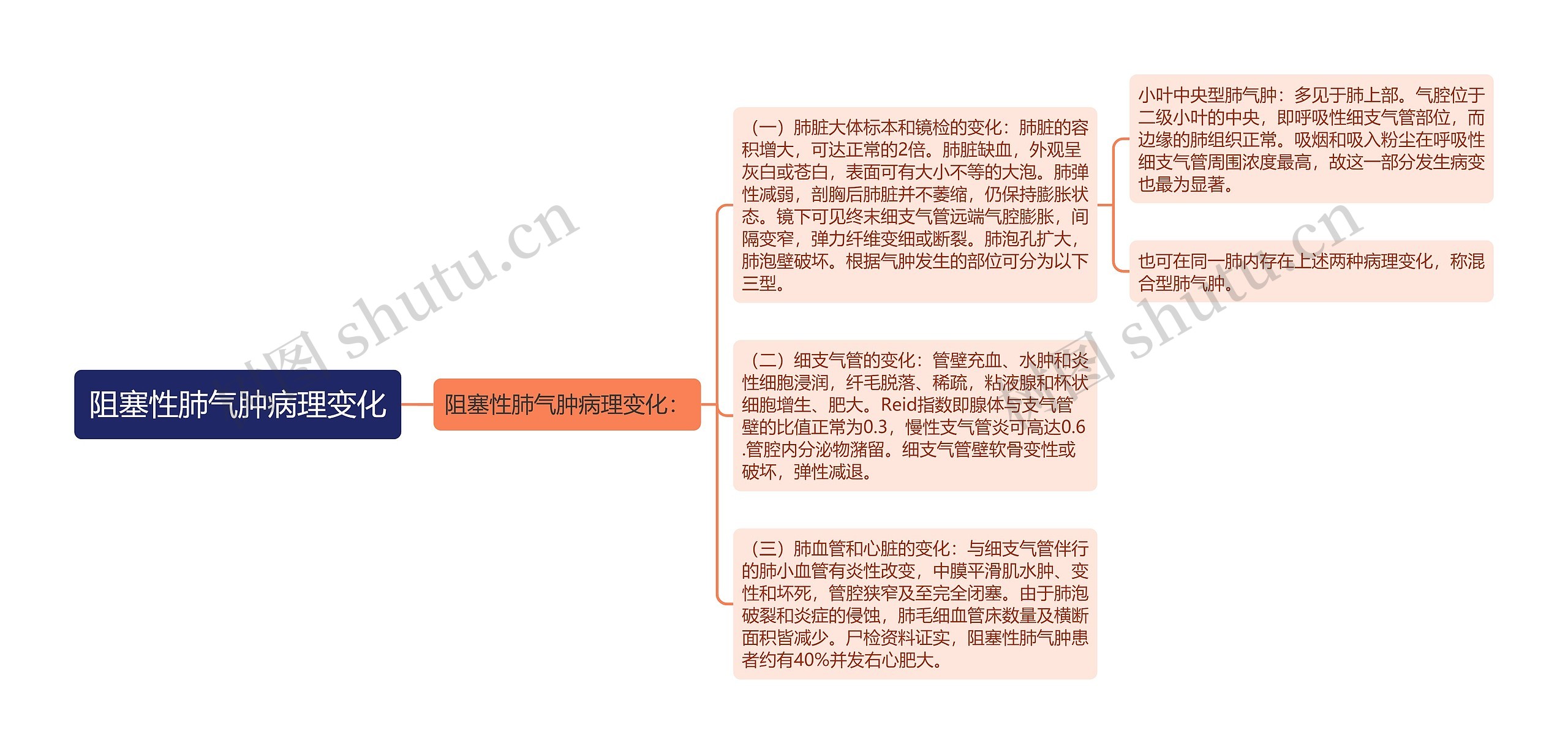 阻塞性肺气肿病理变化思维导图