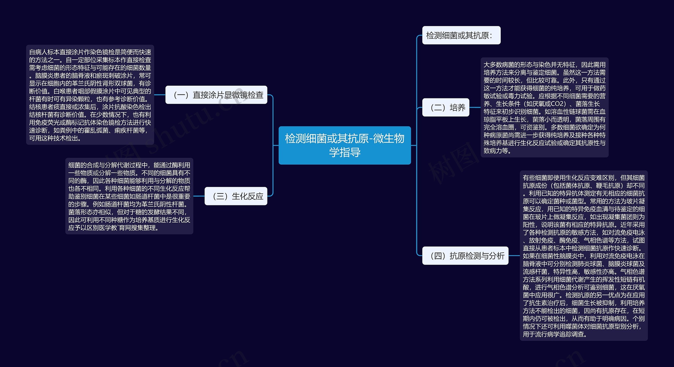 检测细菌或其抗原-微生物学指导思维导图