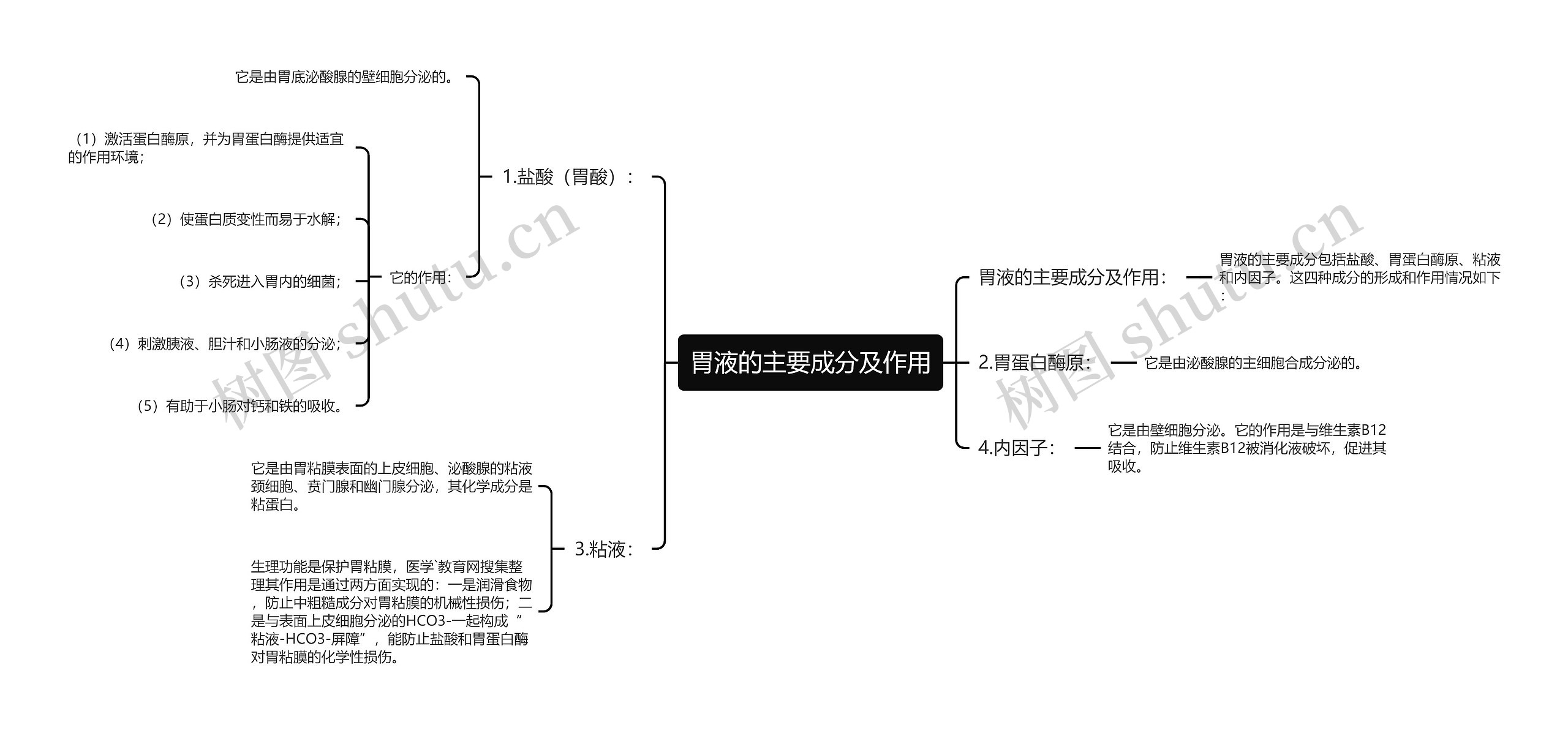 胃液的主要成分及作用思维导图