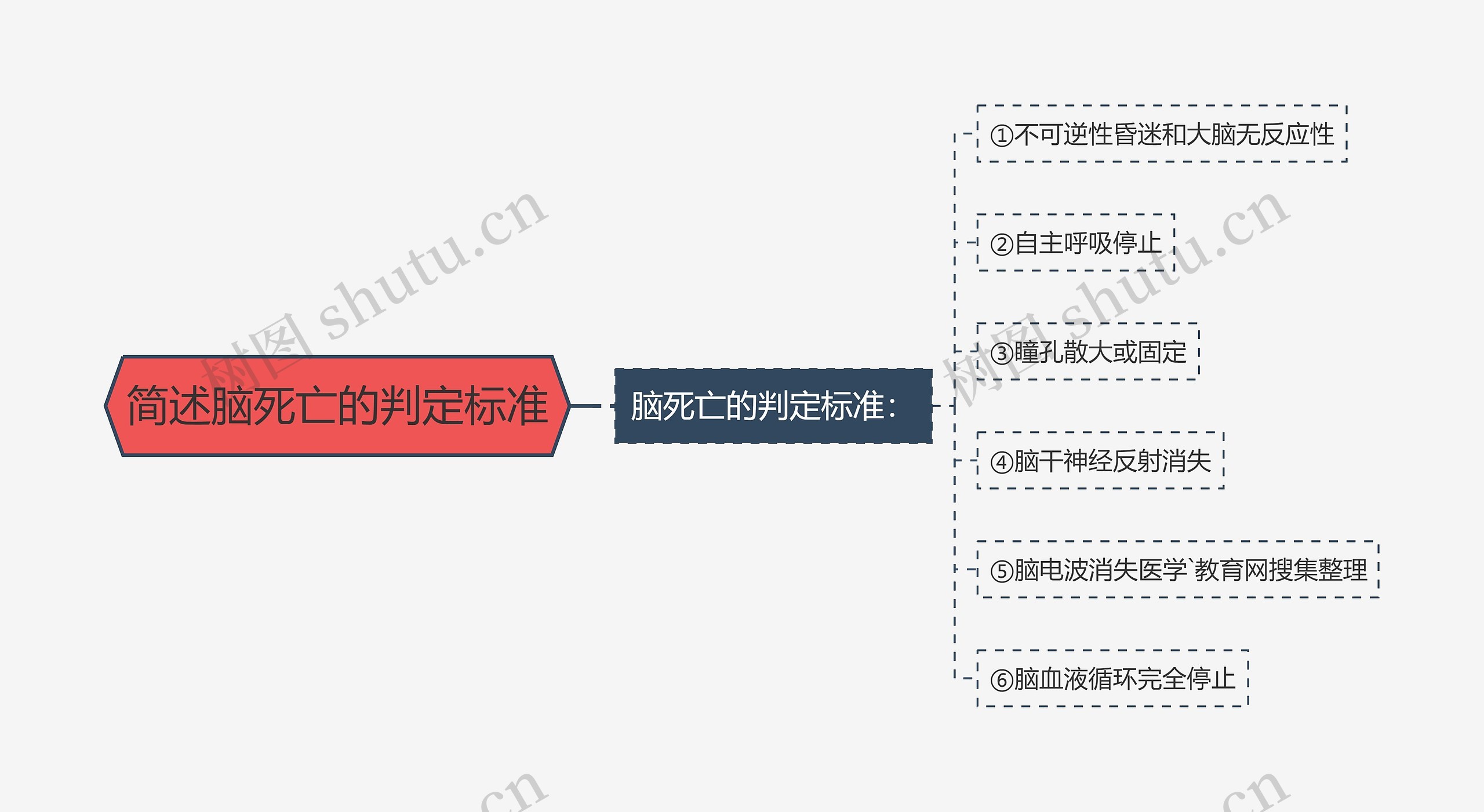 简述脑死亡的判定标准