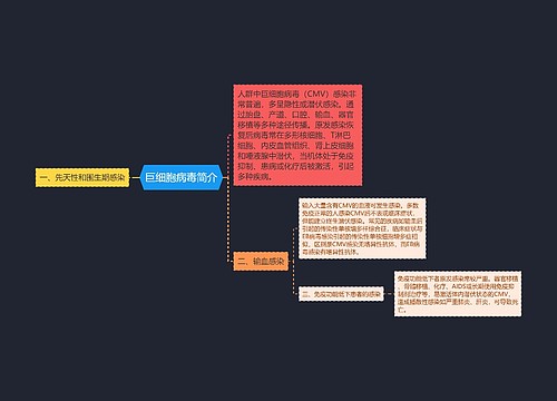 巨细胞病毒简介