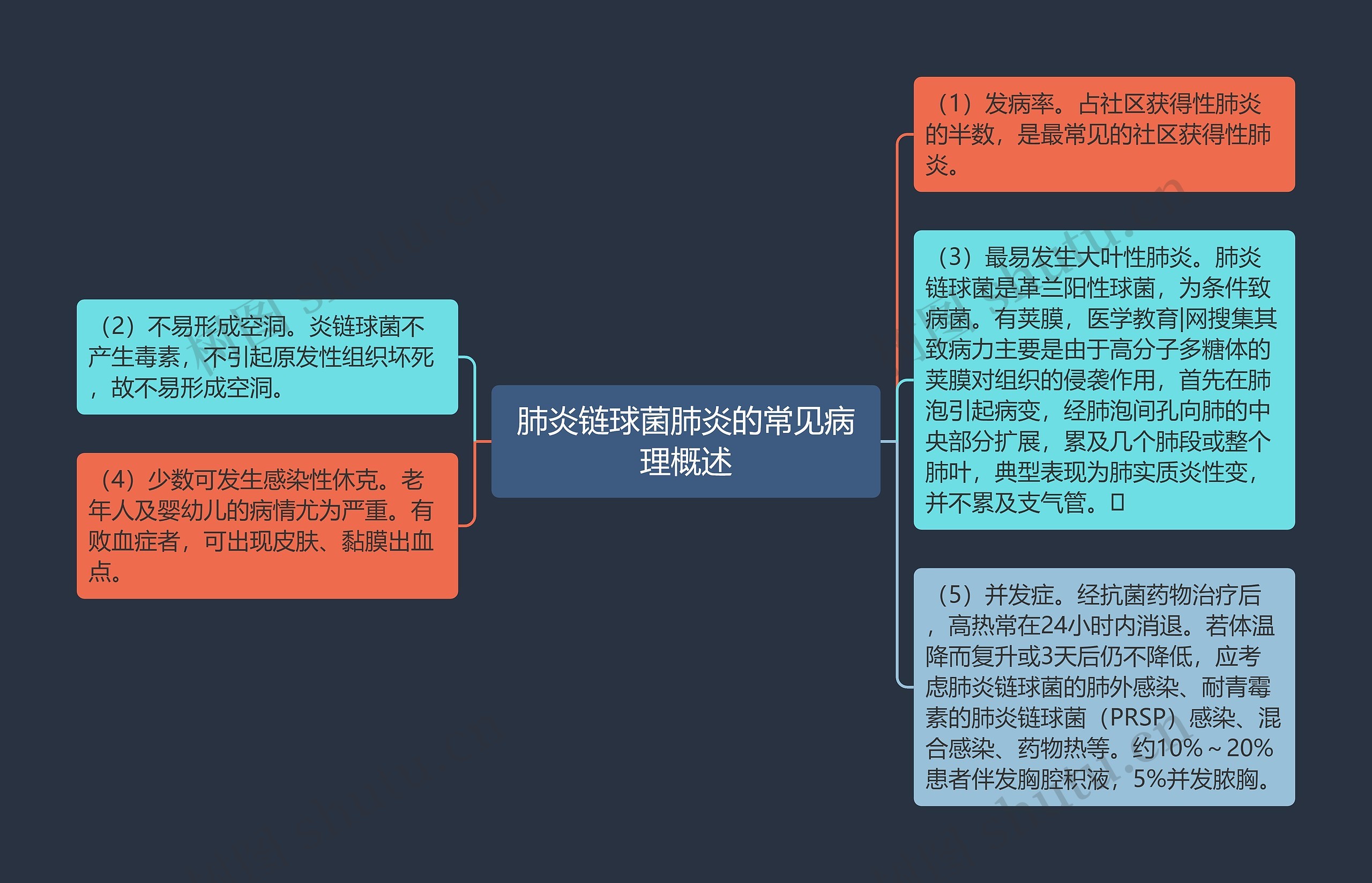肺炎链球菌肺炎的常见病理概述