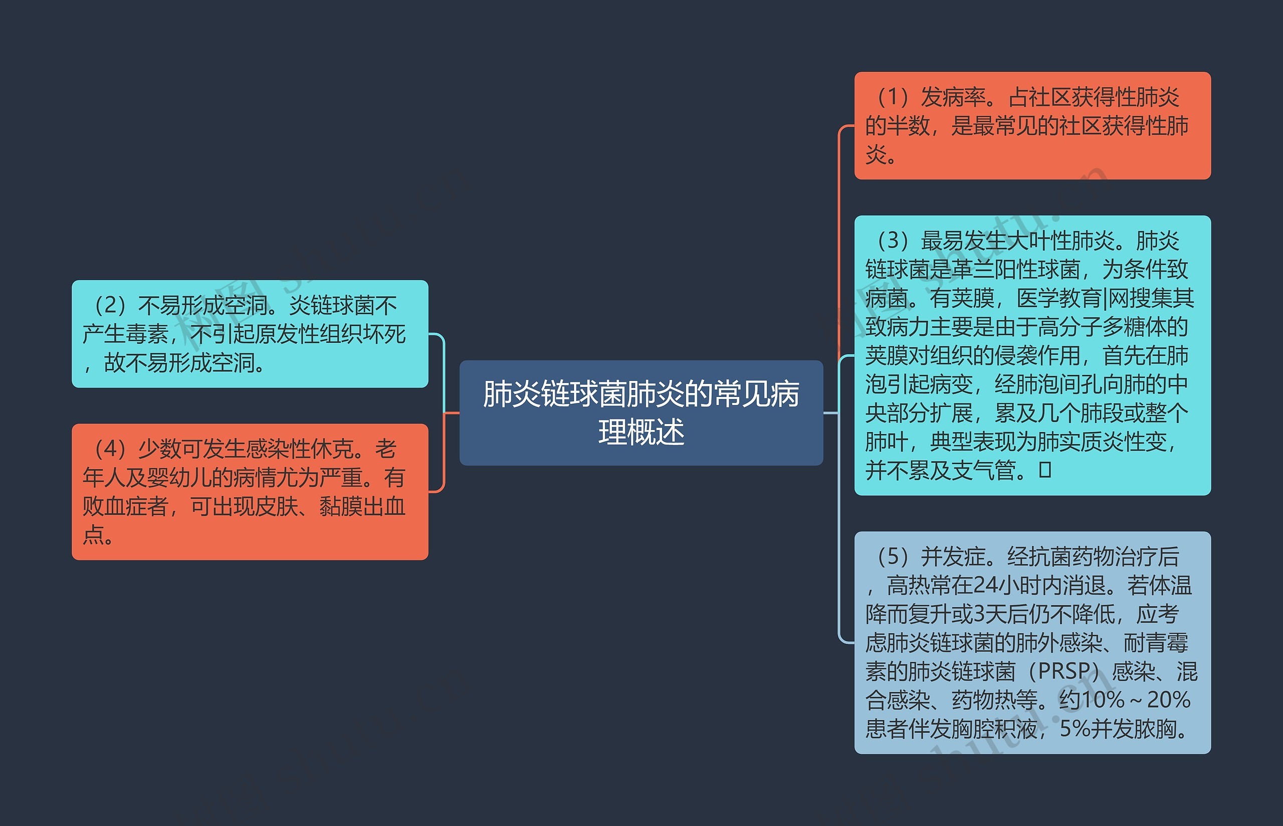 肺炎链球菌肺炎的常见病理概述思维导图