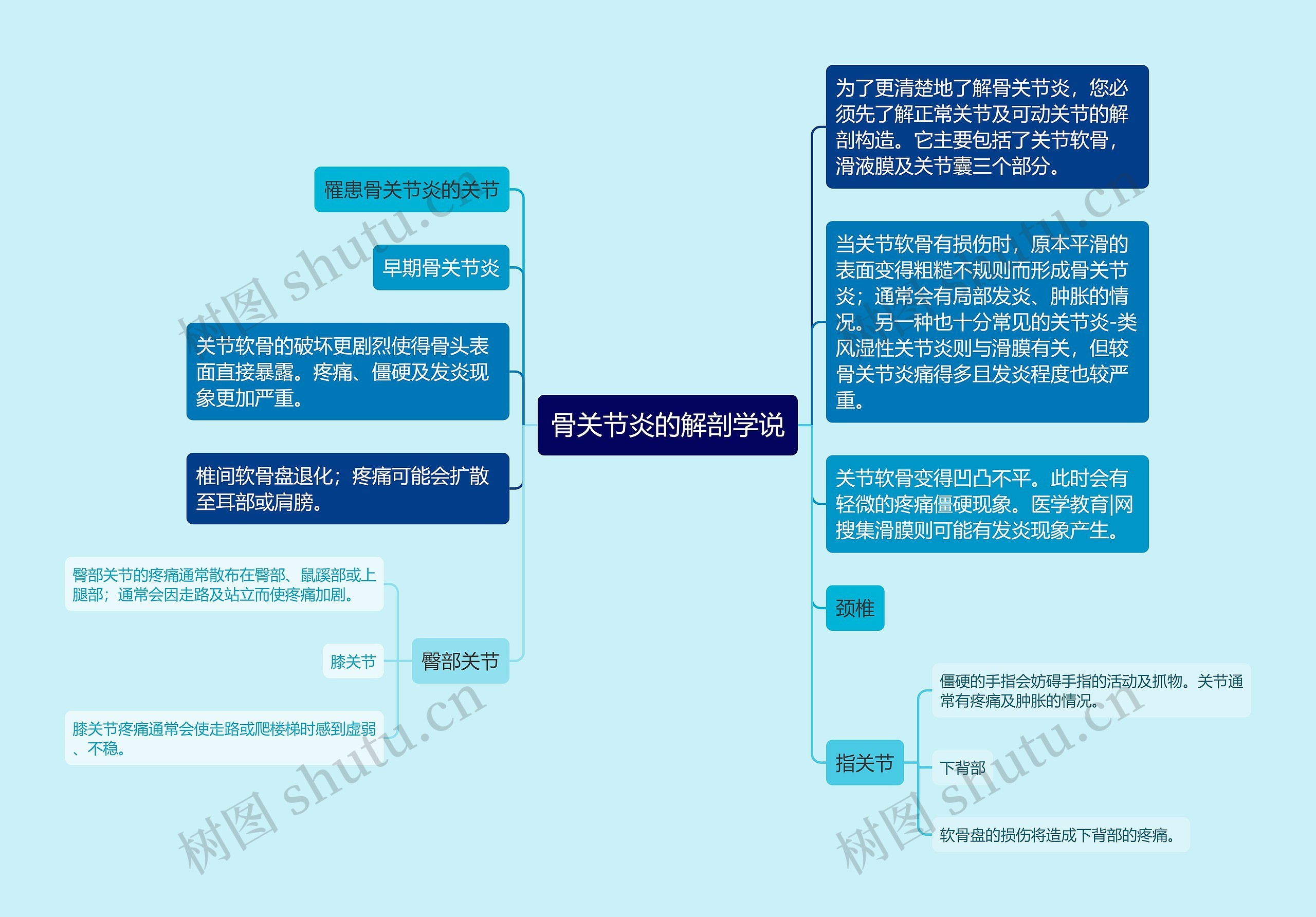 骨关节炎的解剖学说