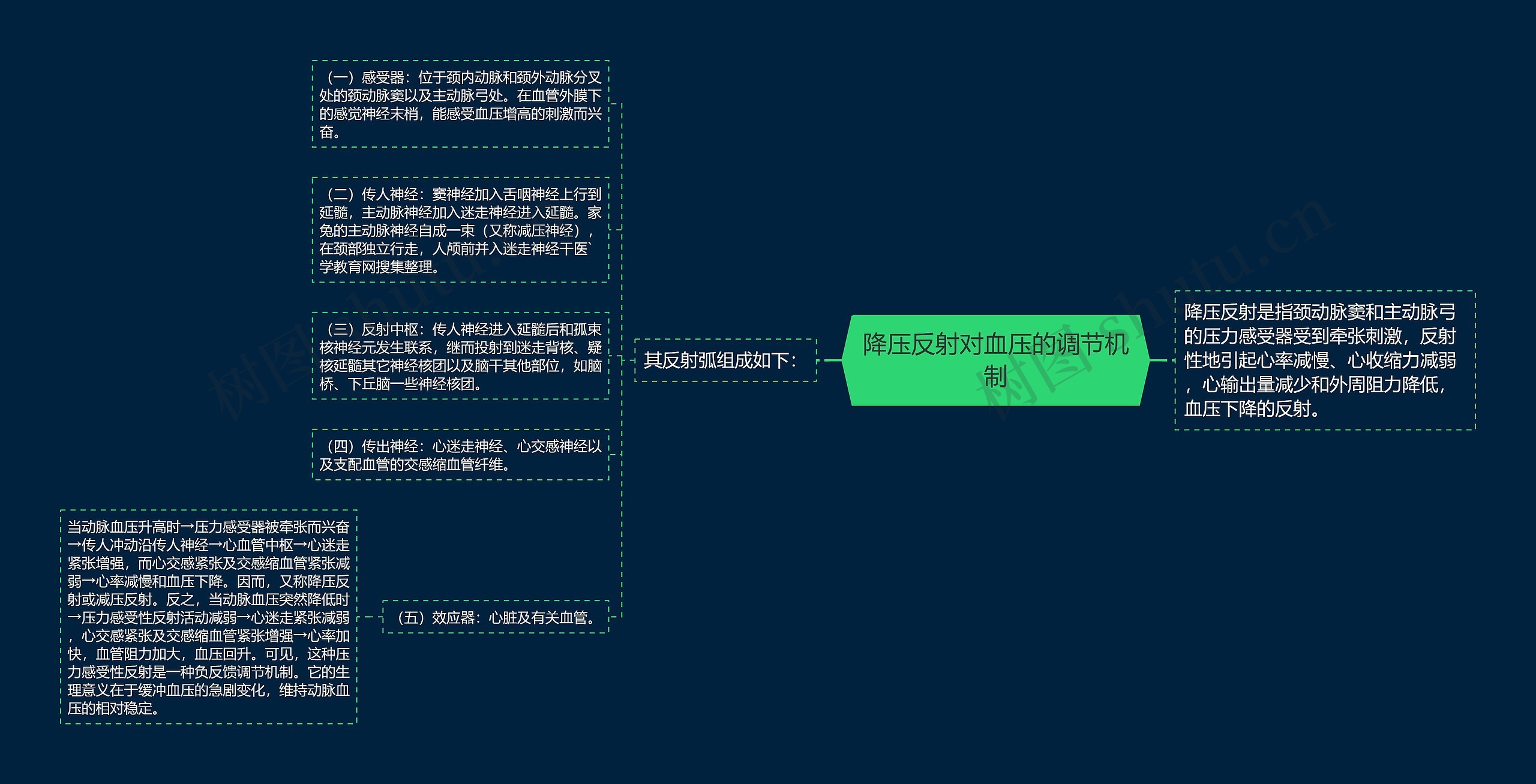 降压反射对血压的调节机制 降压反射对血压的调节机制