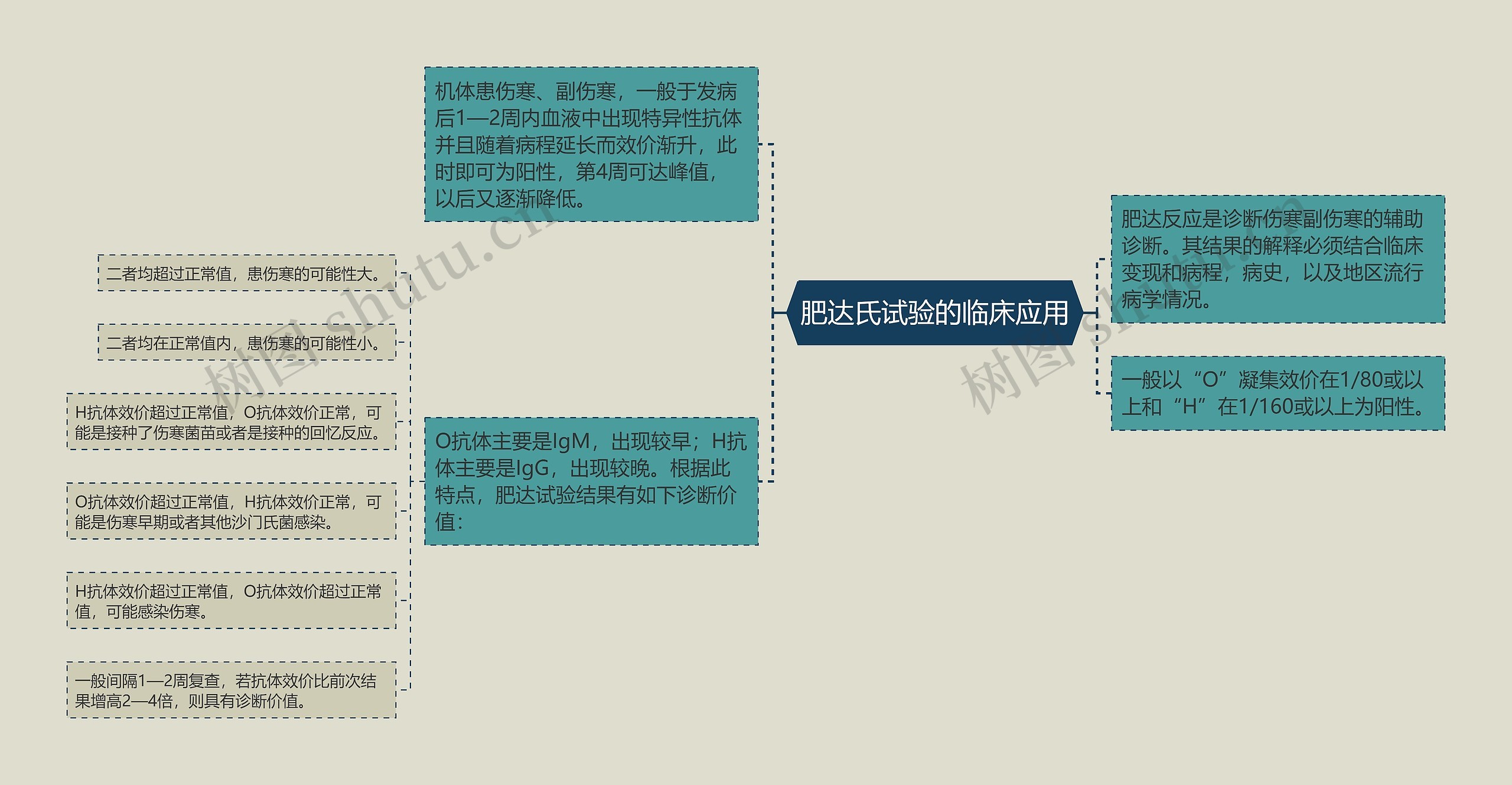 肥达氏试验的临床应用思维导图