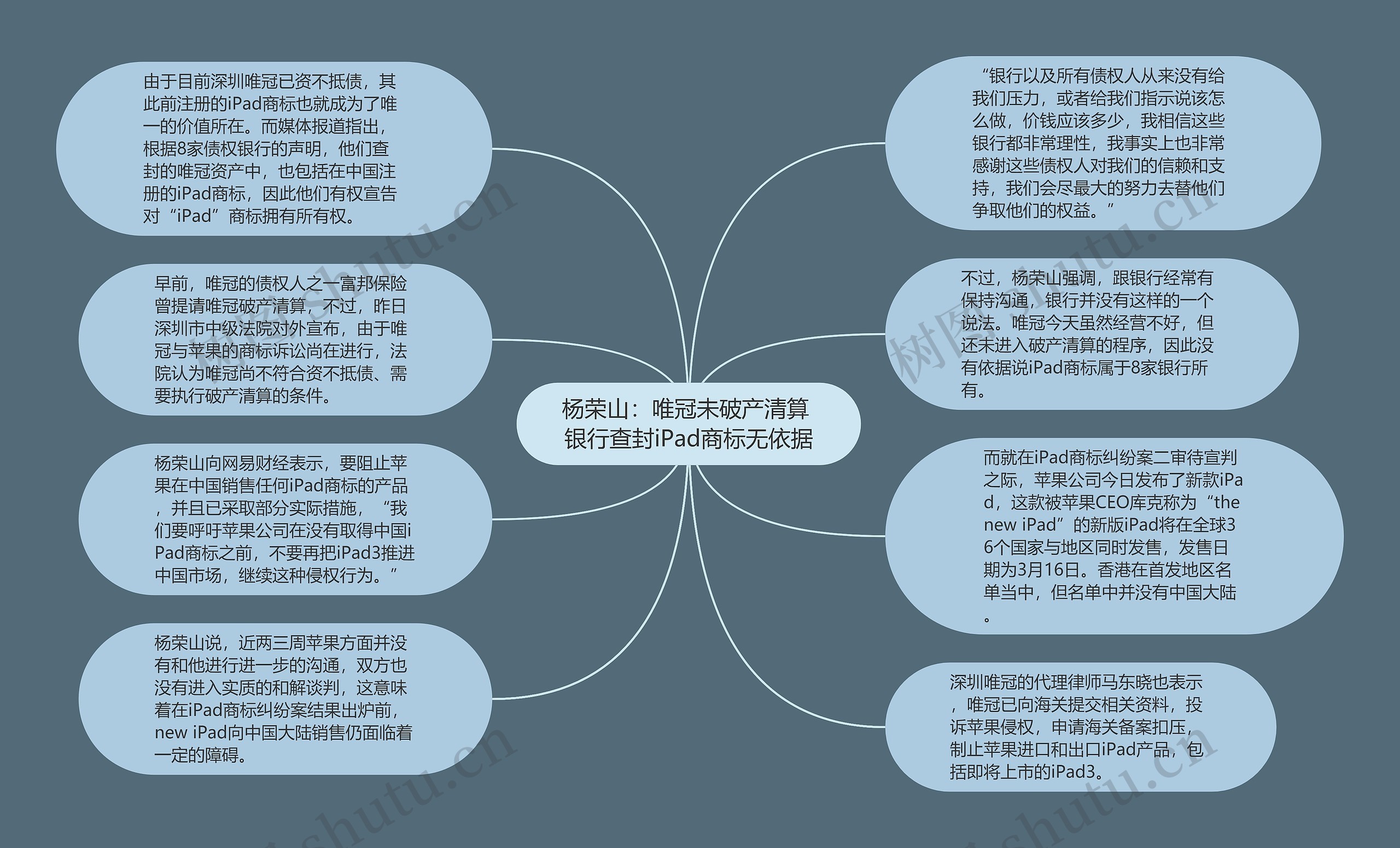 杨荣山：唯冠未破产清算 银行查封iPad商标无依据