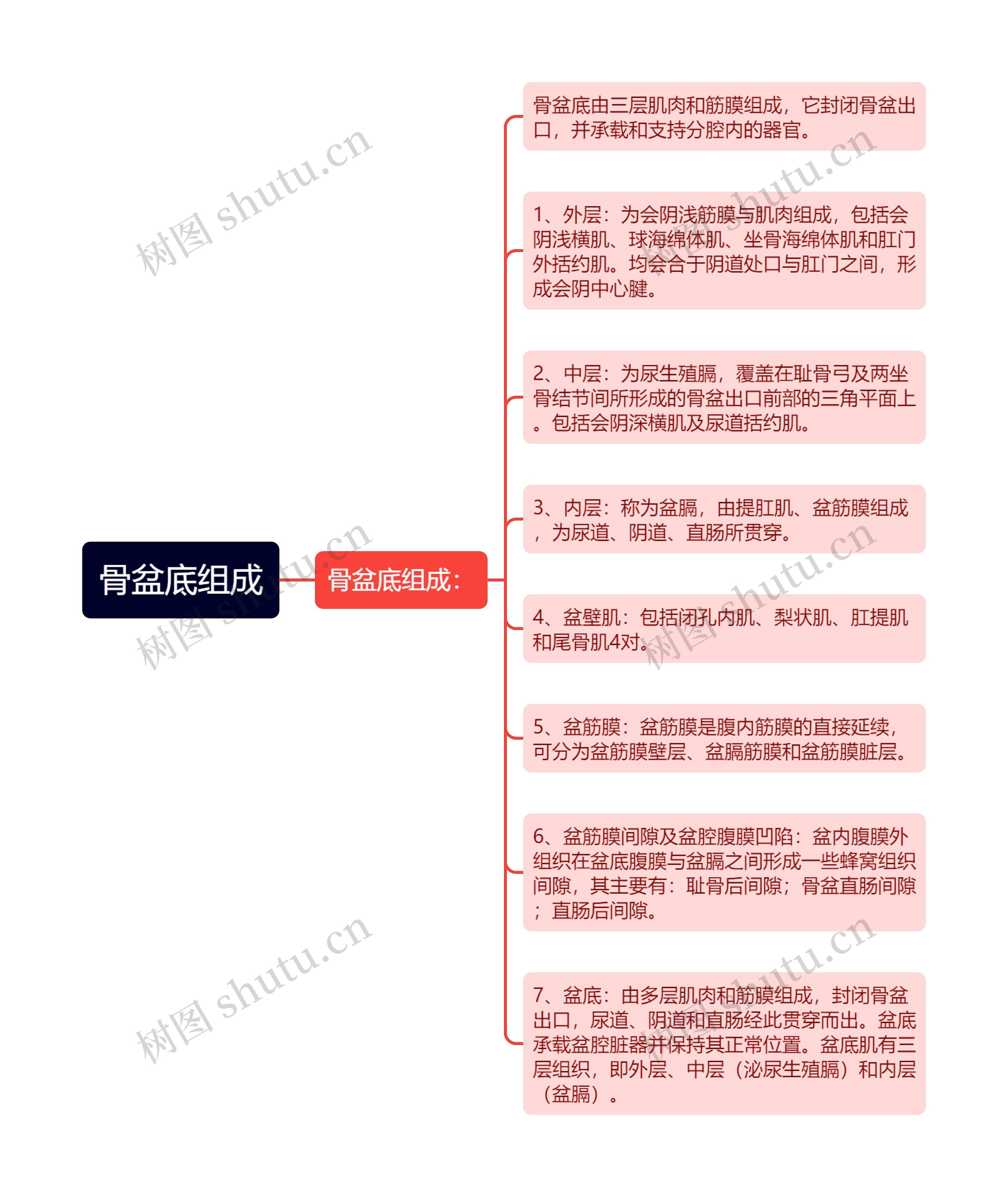 骨盆底组成思维导图