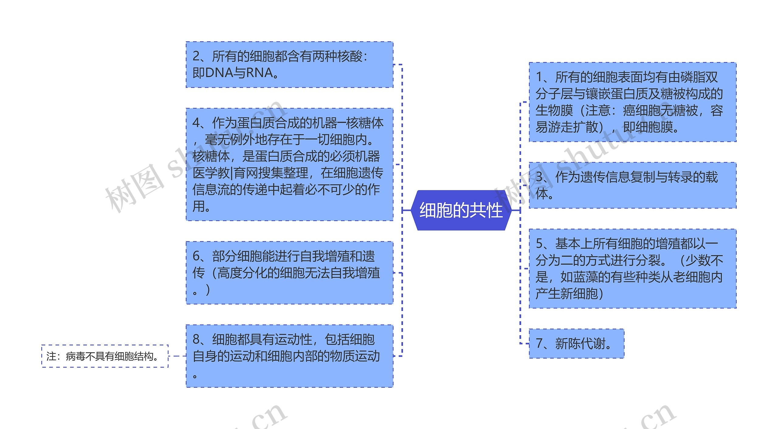 细胞的共性思维导图