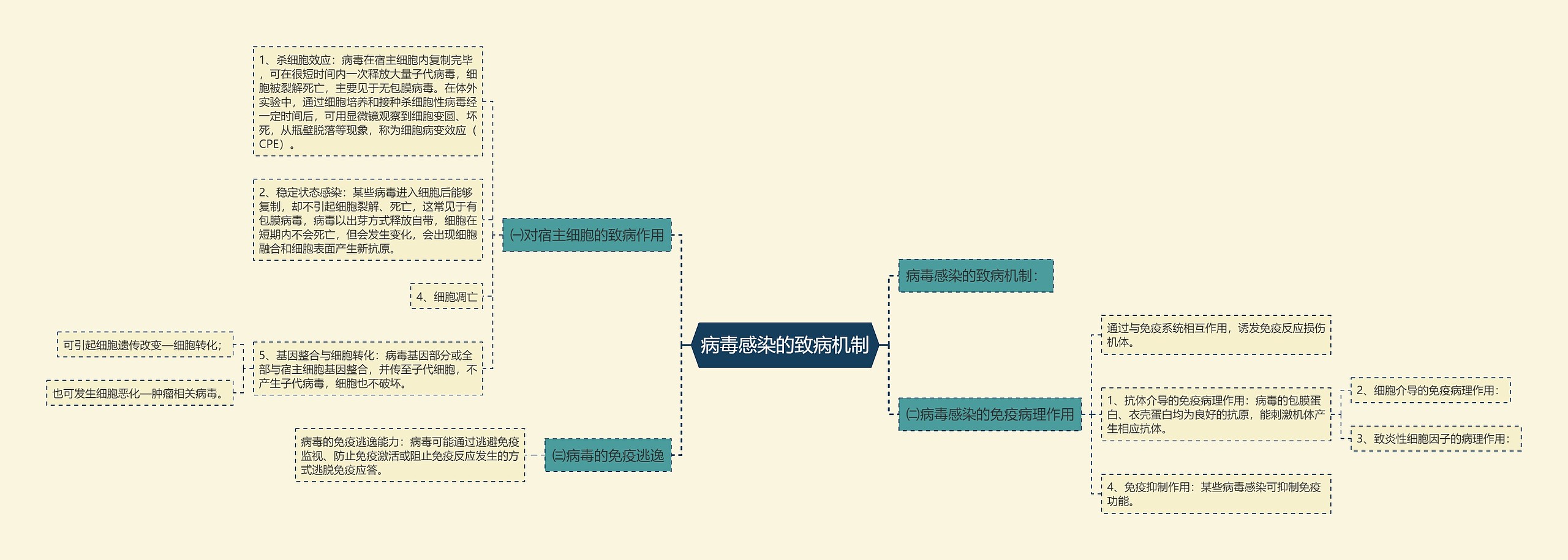 病毒感染的致病机制 病毒感染的致病机制