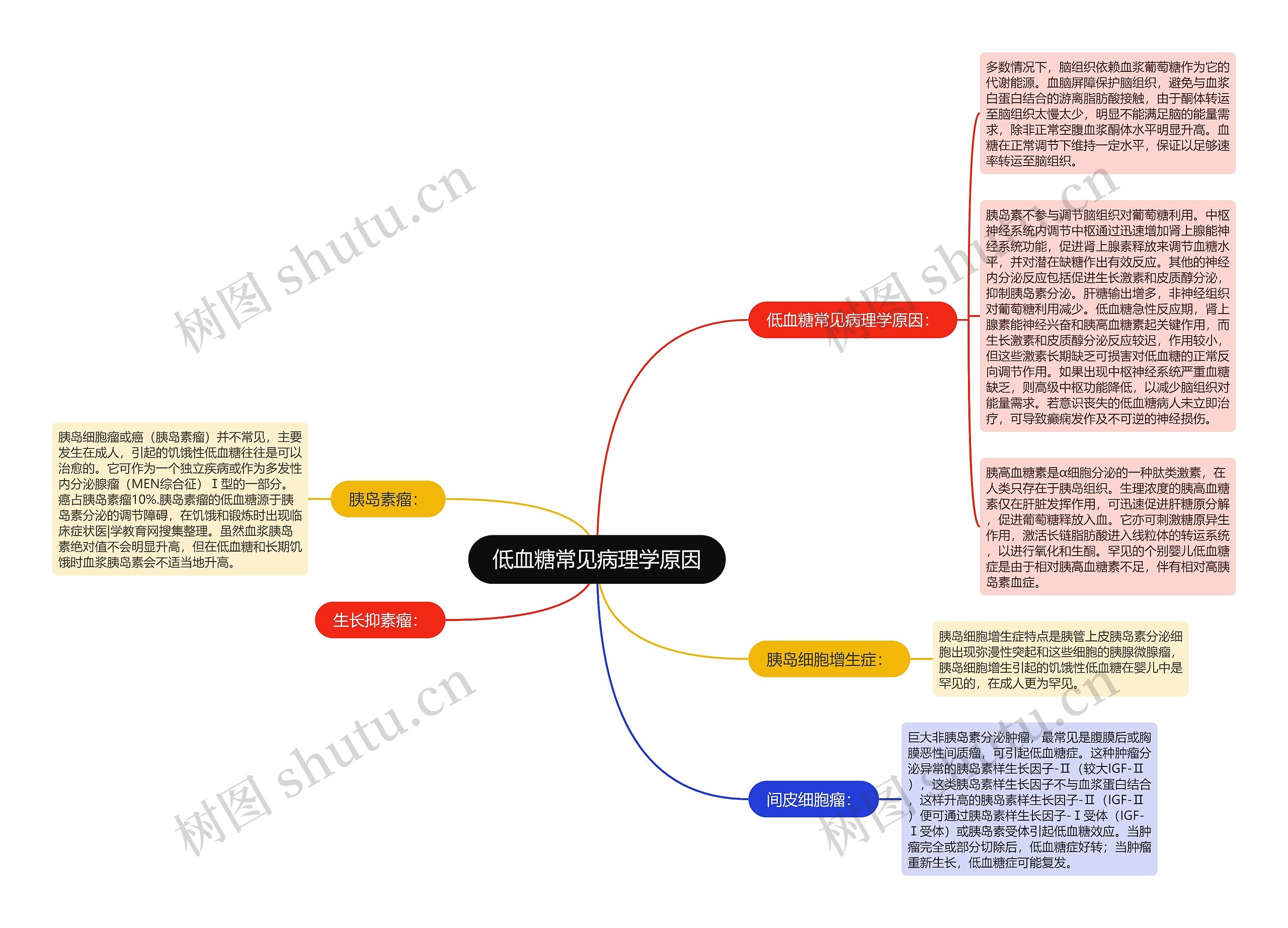 低血糖常见病理学原因思维导图