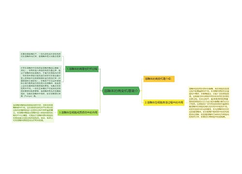 溶酶体的病变机理简介