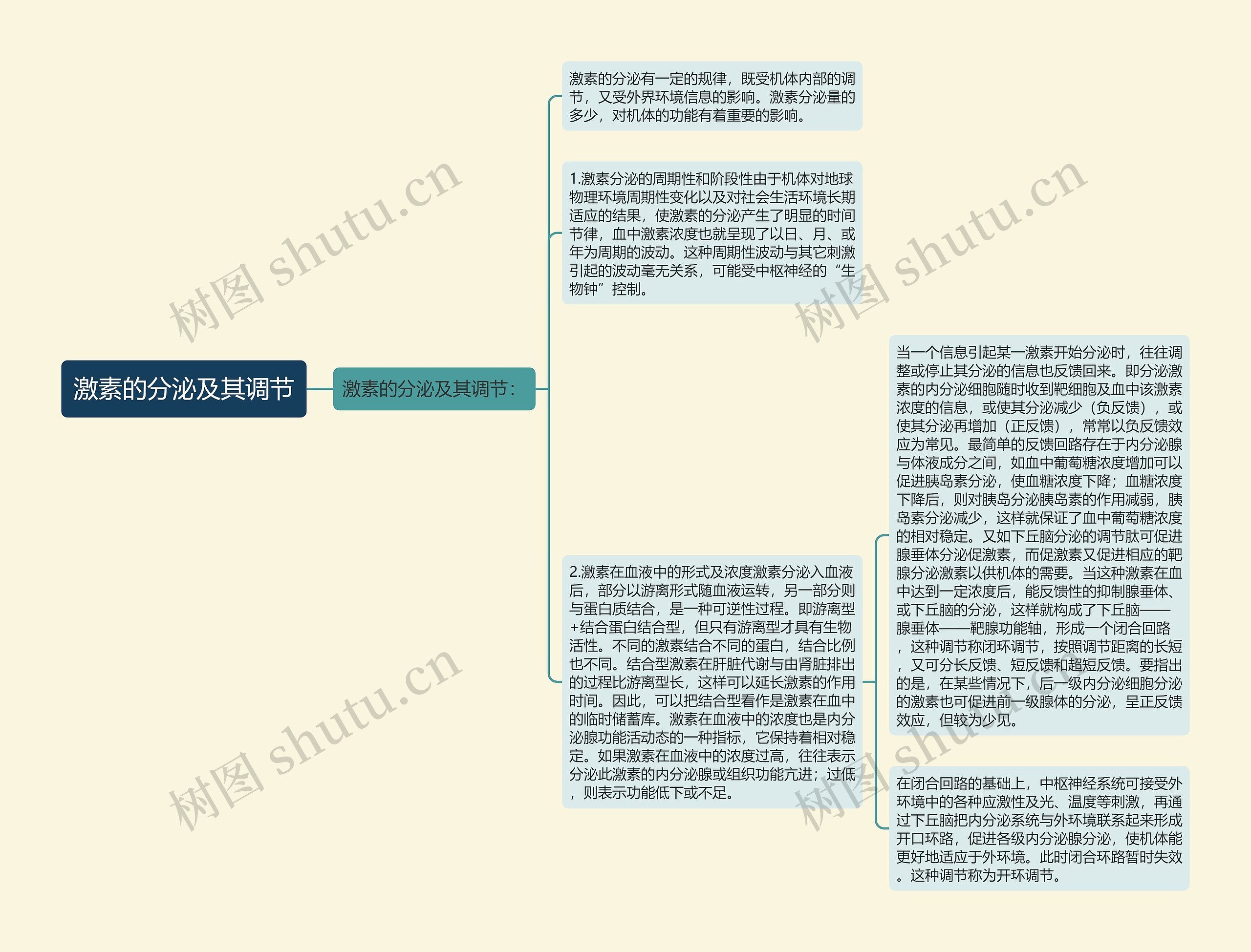 激素的分泌及其调节思维导图