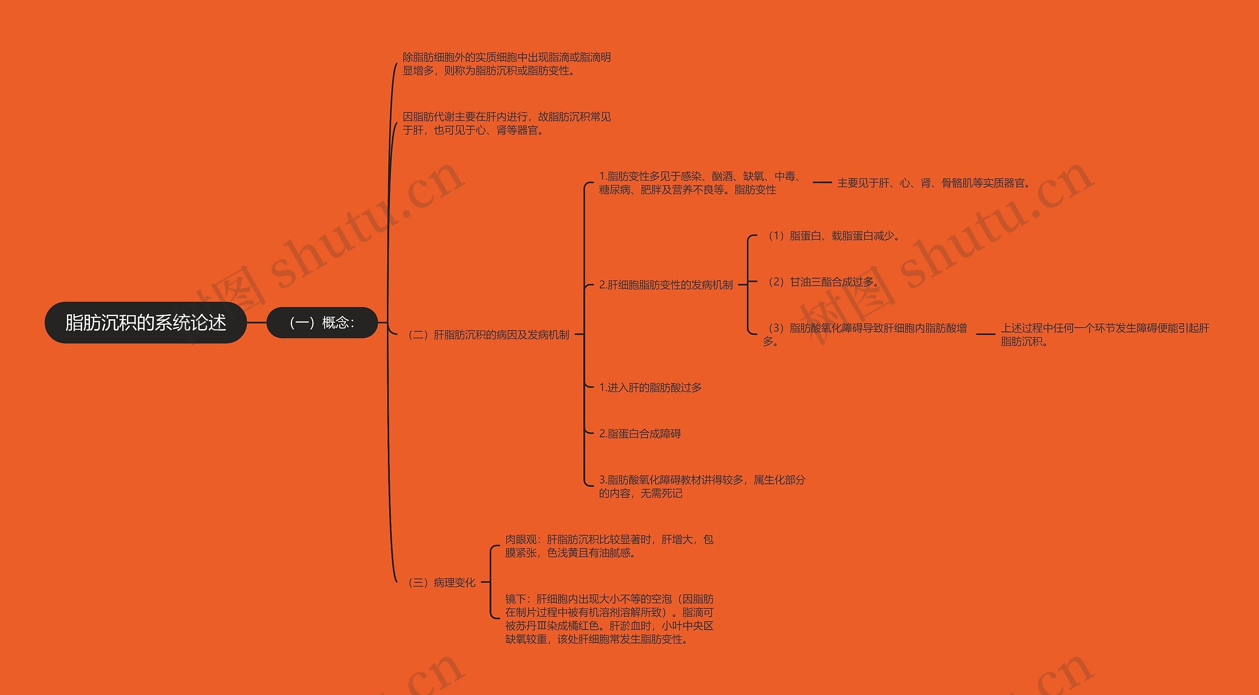脂肪沉积的系统论述 脂肪沉积的系统论述