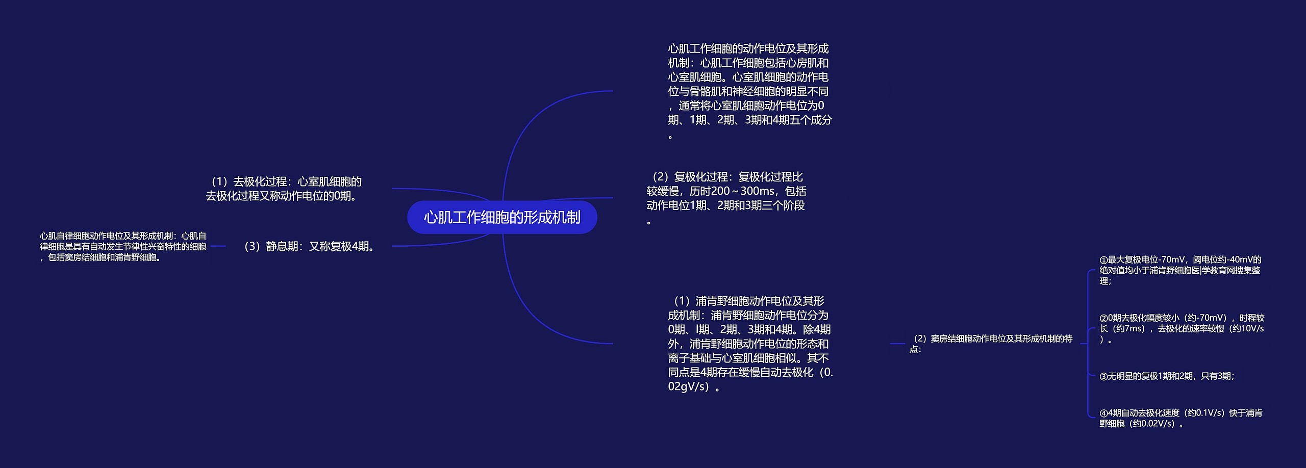 心肌工作细胞的形成机制思维导图