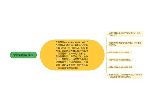 大隐静脉及属支