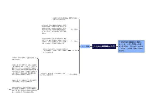 女性外生殖器解剖特点