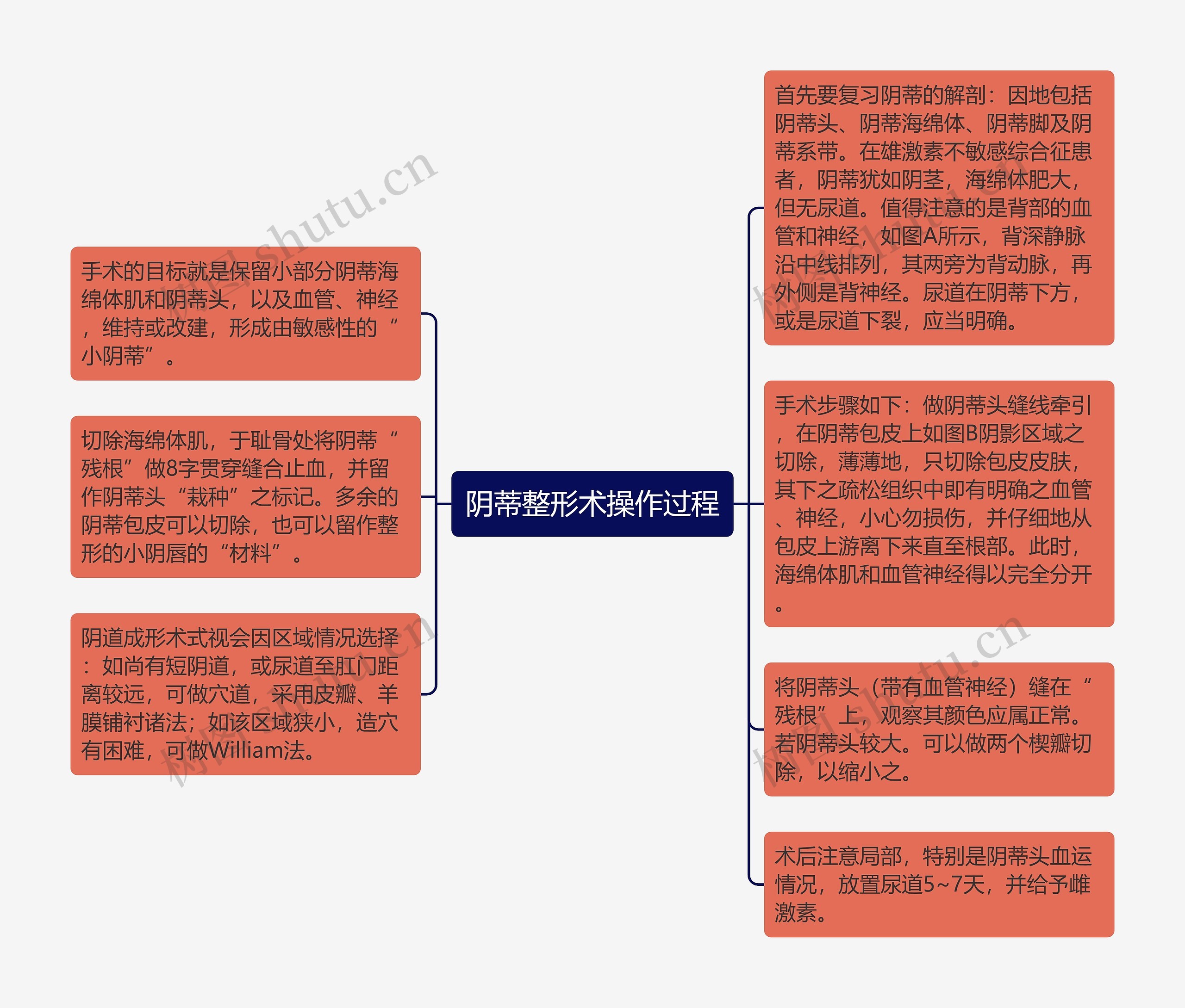 阴蒂整形术操作过程思维导图