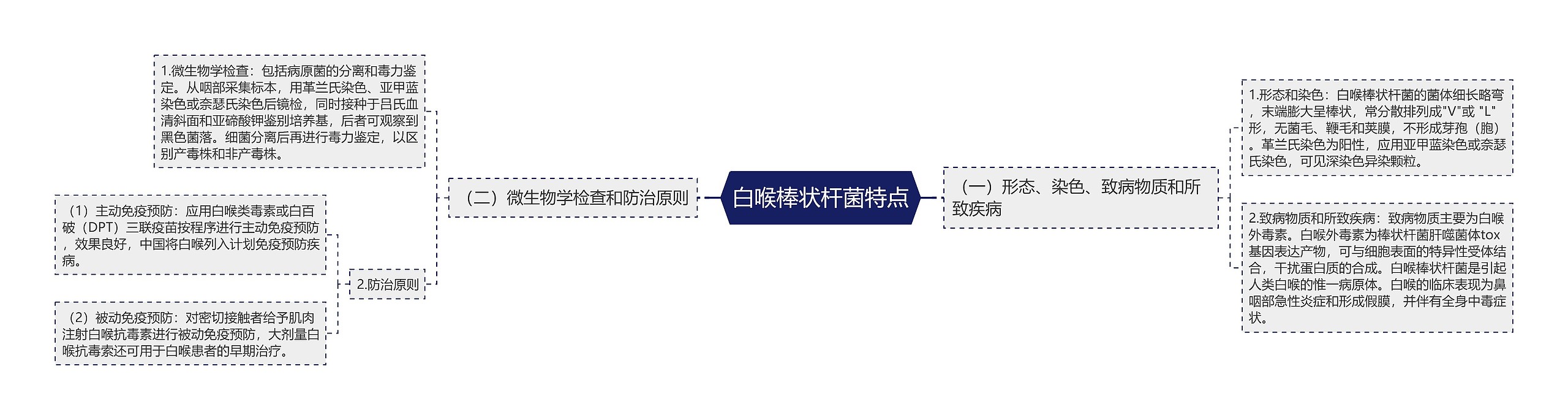 白喉棒状杆菌特点 白喉棒状杆菌特点