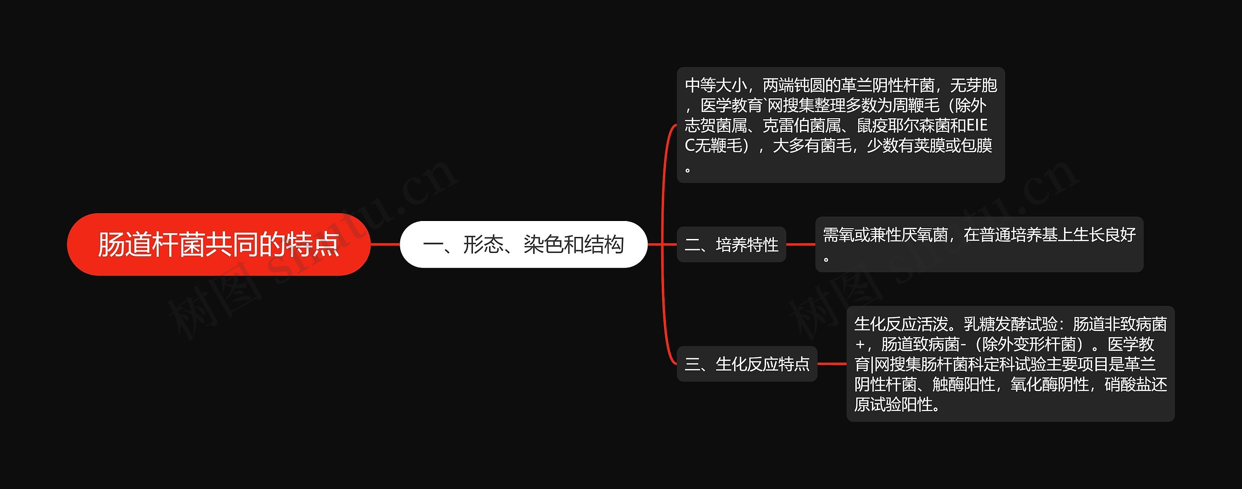 肠道杆菌共同的特点思维导图