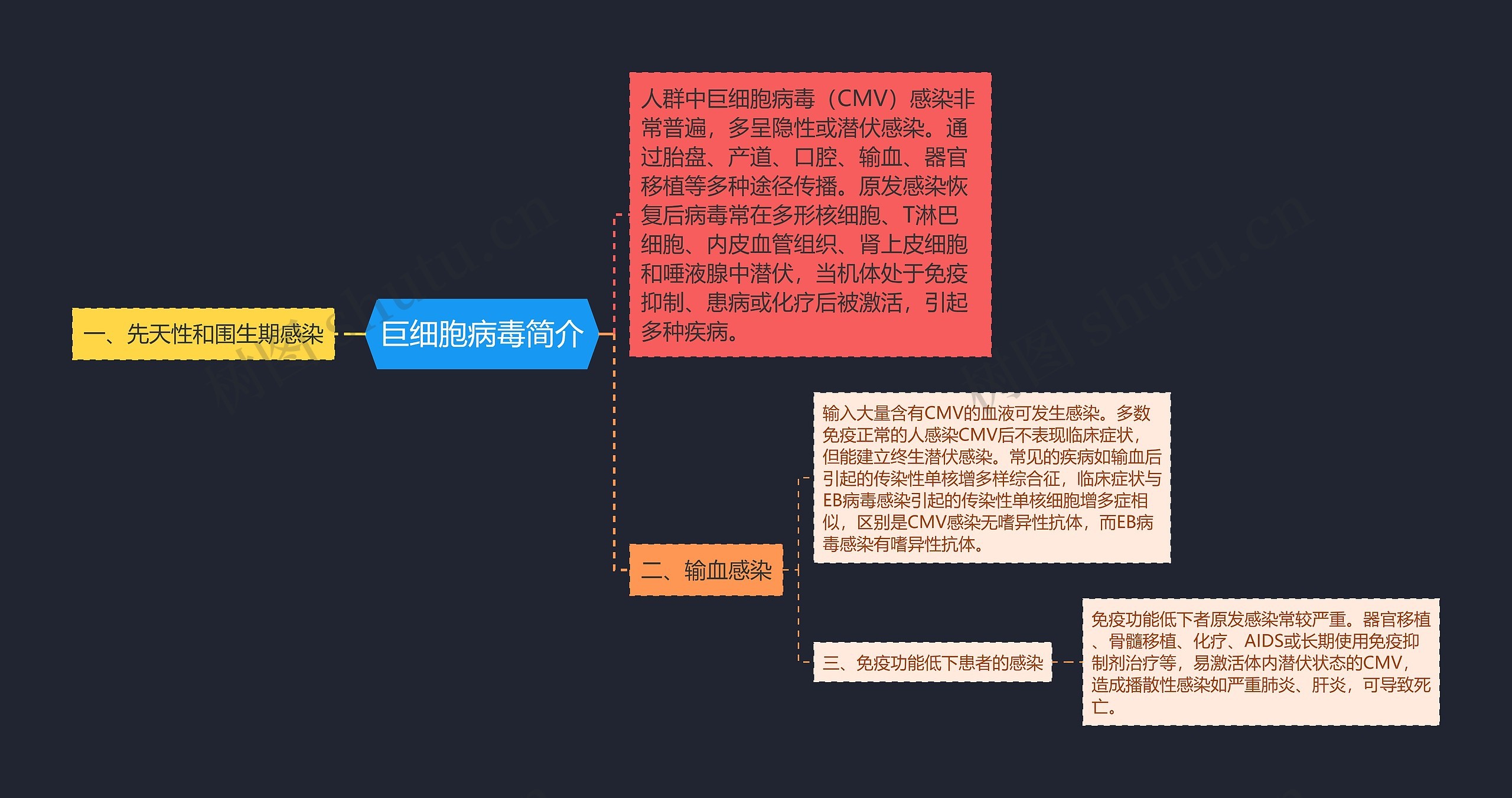 巨细胞病毒简介