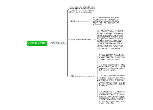 心的传导系统解析