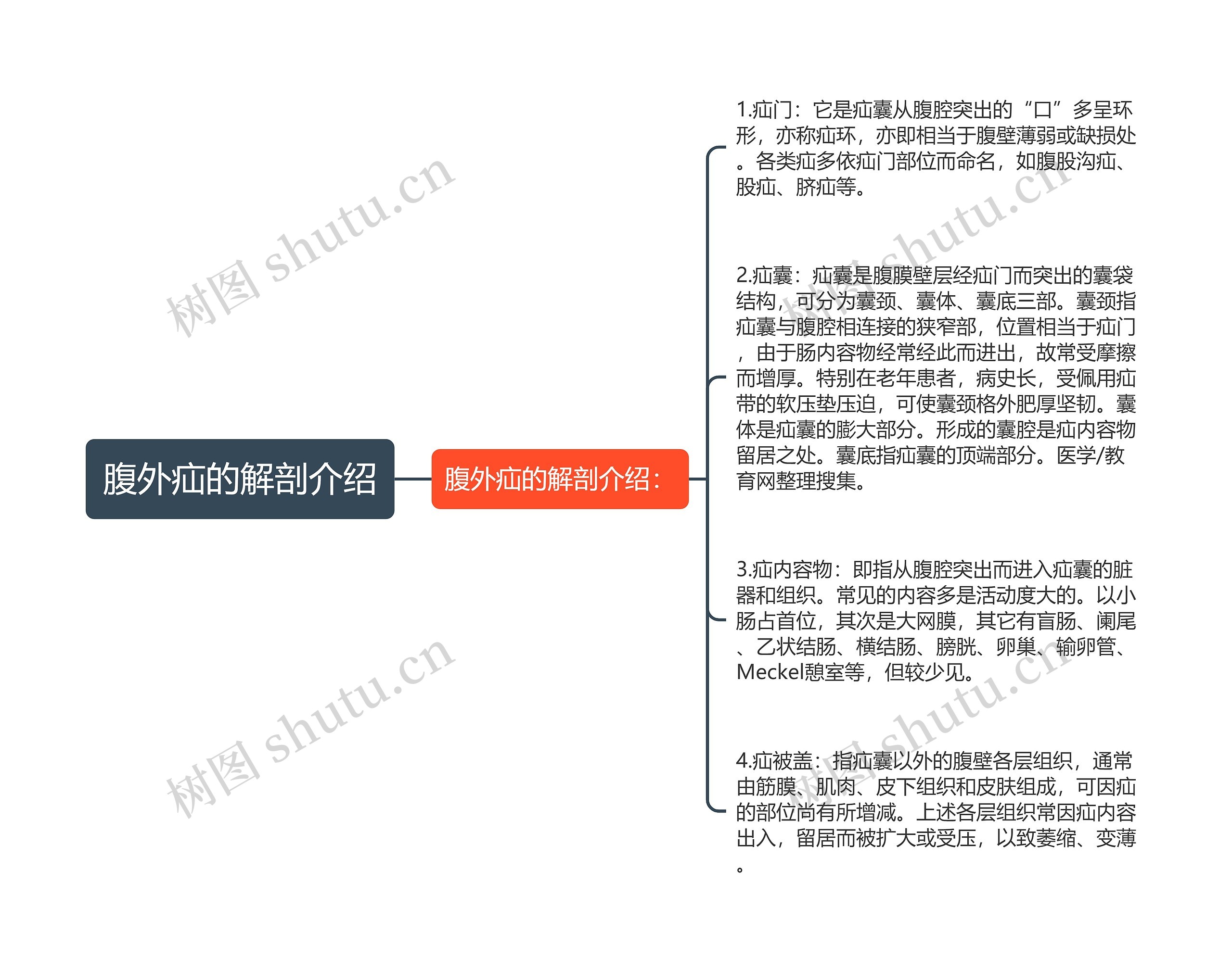 腹外疝的解剖介绍思维导图