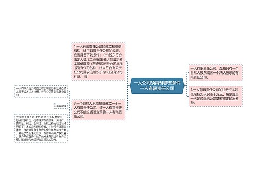 一人公司须具备哪些条件一人有限责任公司