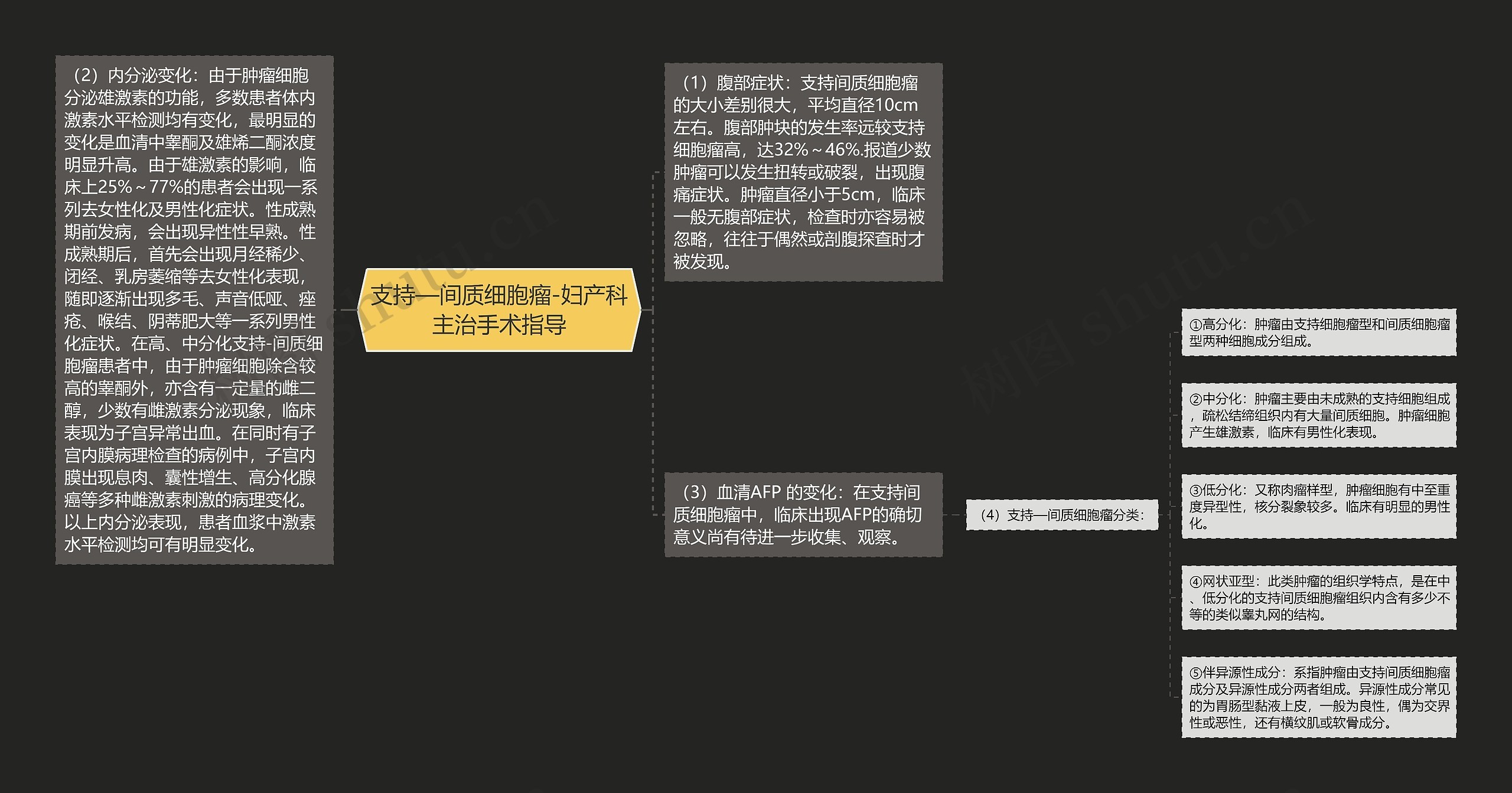 支持—间质细胞瘤-妇产科主治手术指导 支持—间质细胞瘤-妇产科主治手术指导