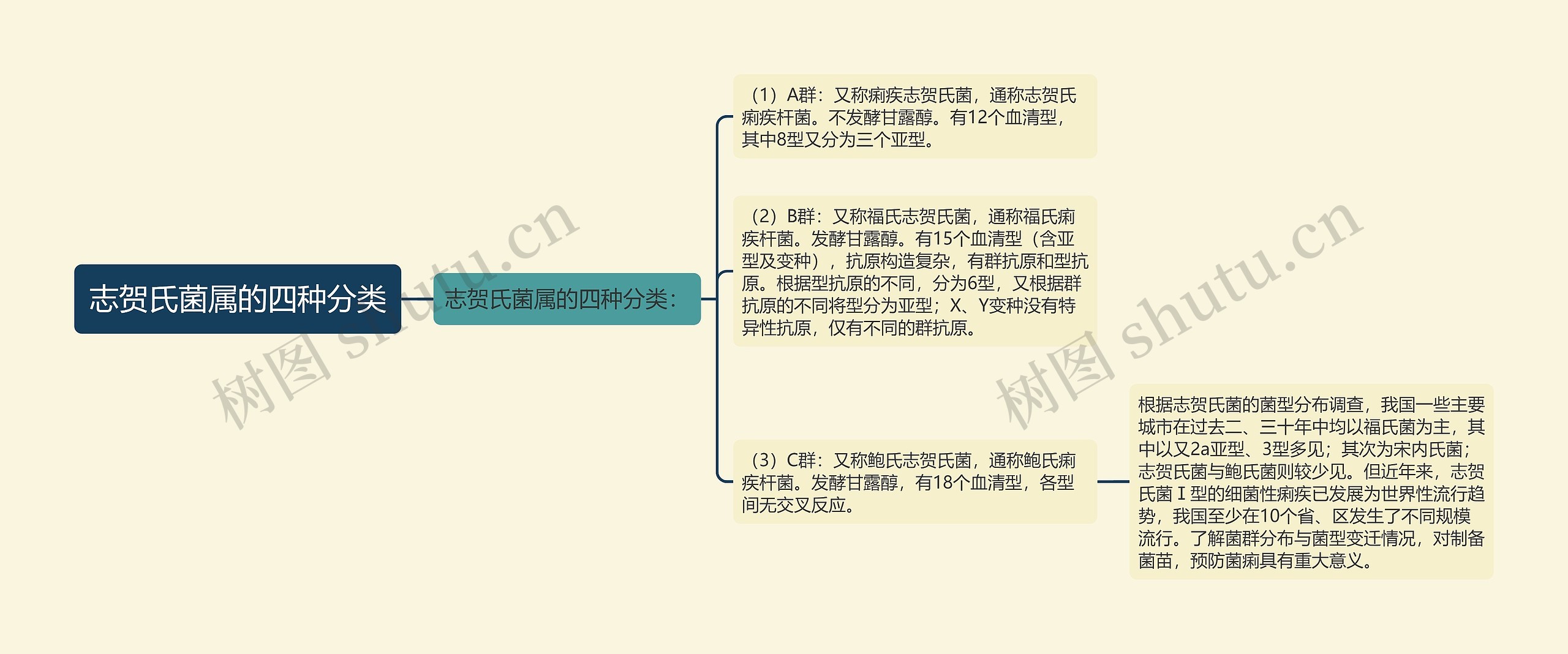 志贺氏菌属的四种分类