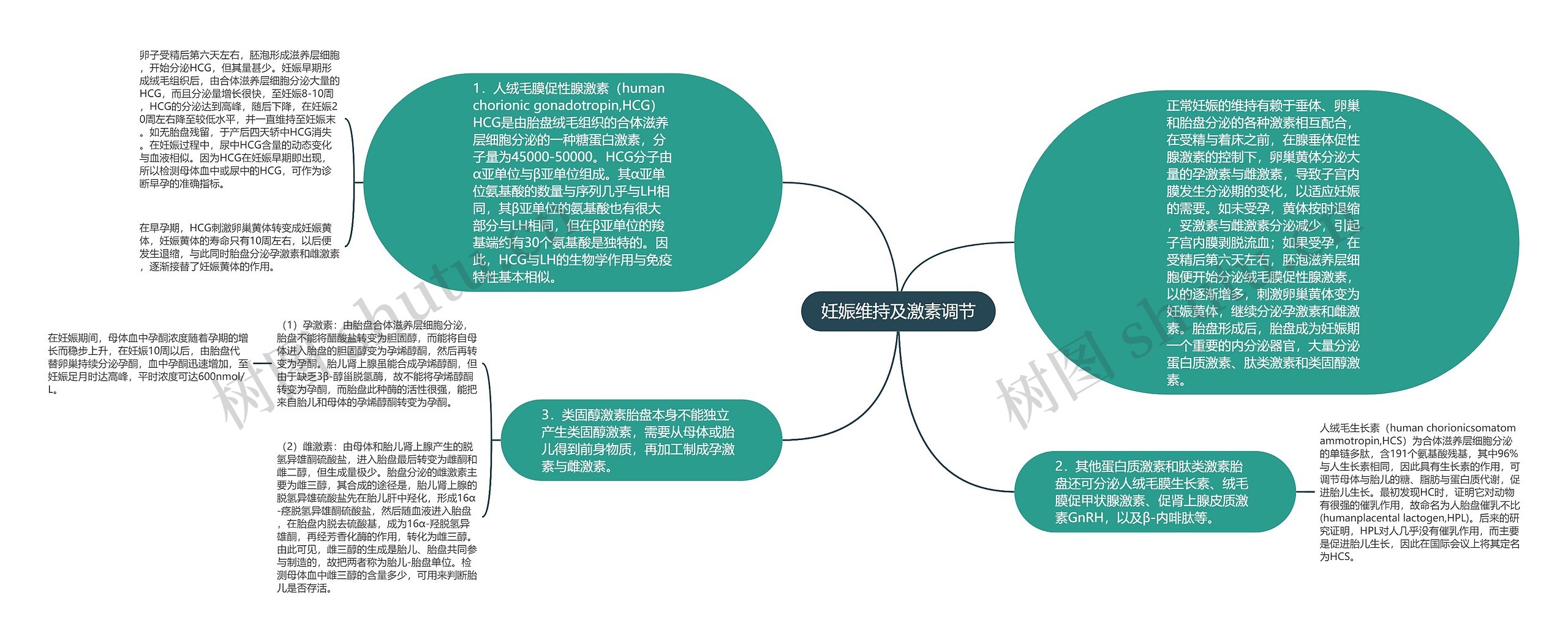 妊娠维持及激素调节思维导图