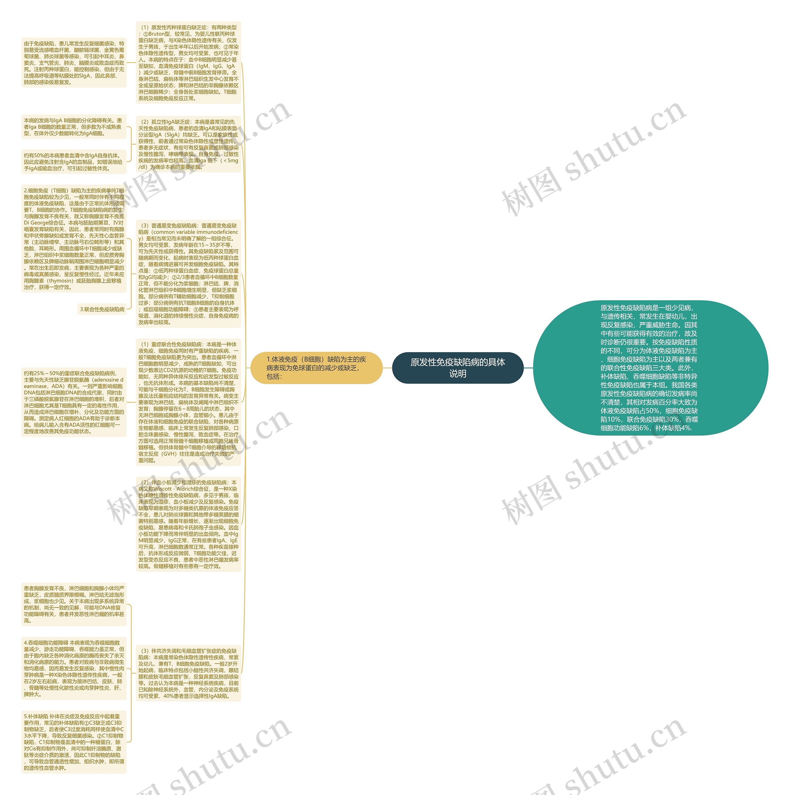 原发性免疫缺陷病的具体说明思维导图