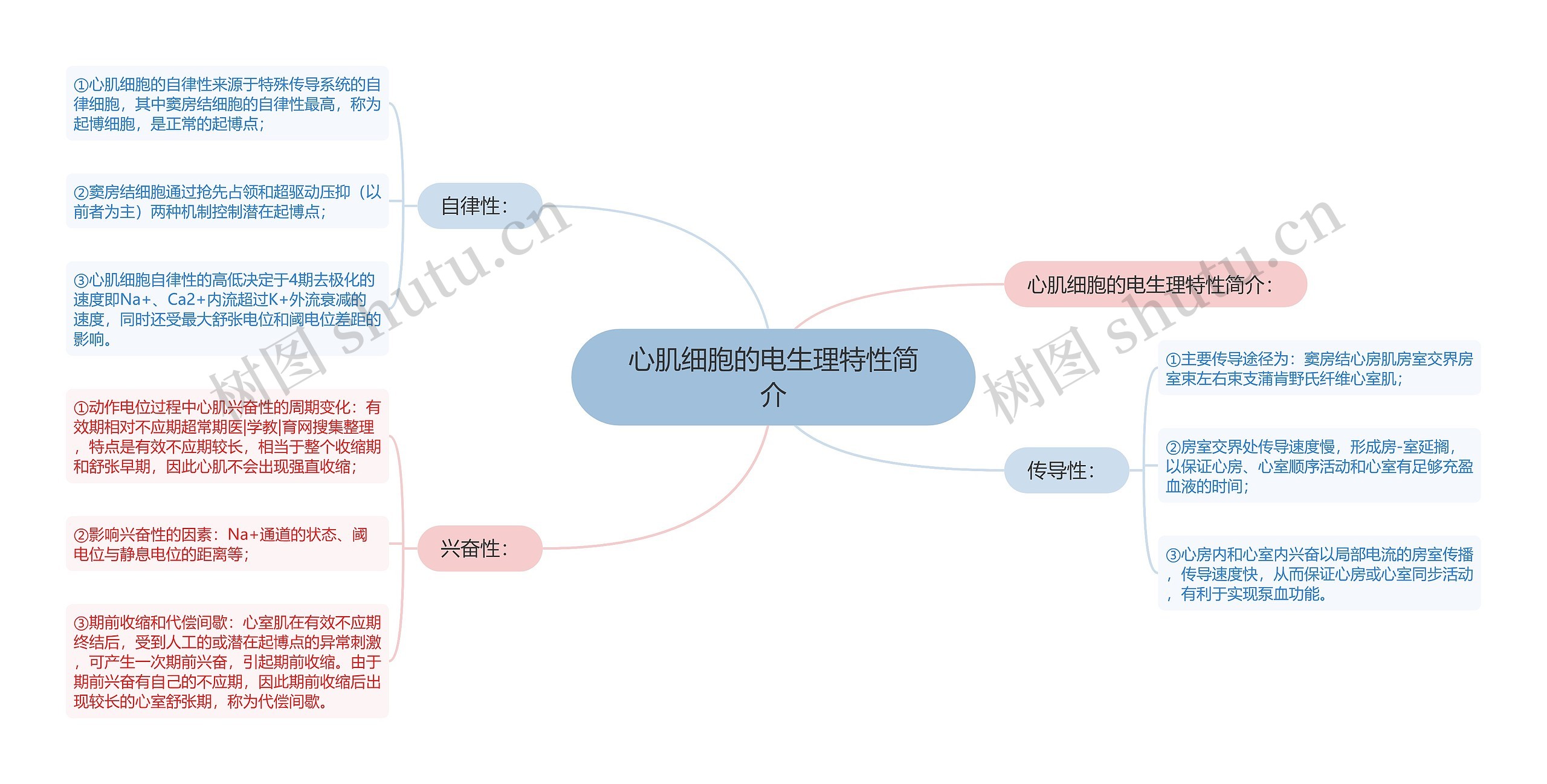 心肌细胞的电生理特性简介