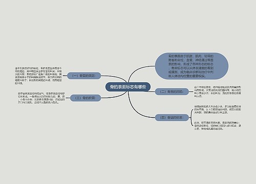 骨的表面标志有哪些