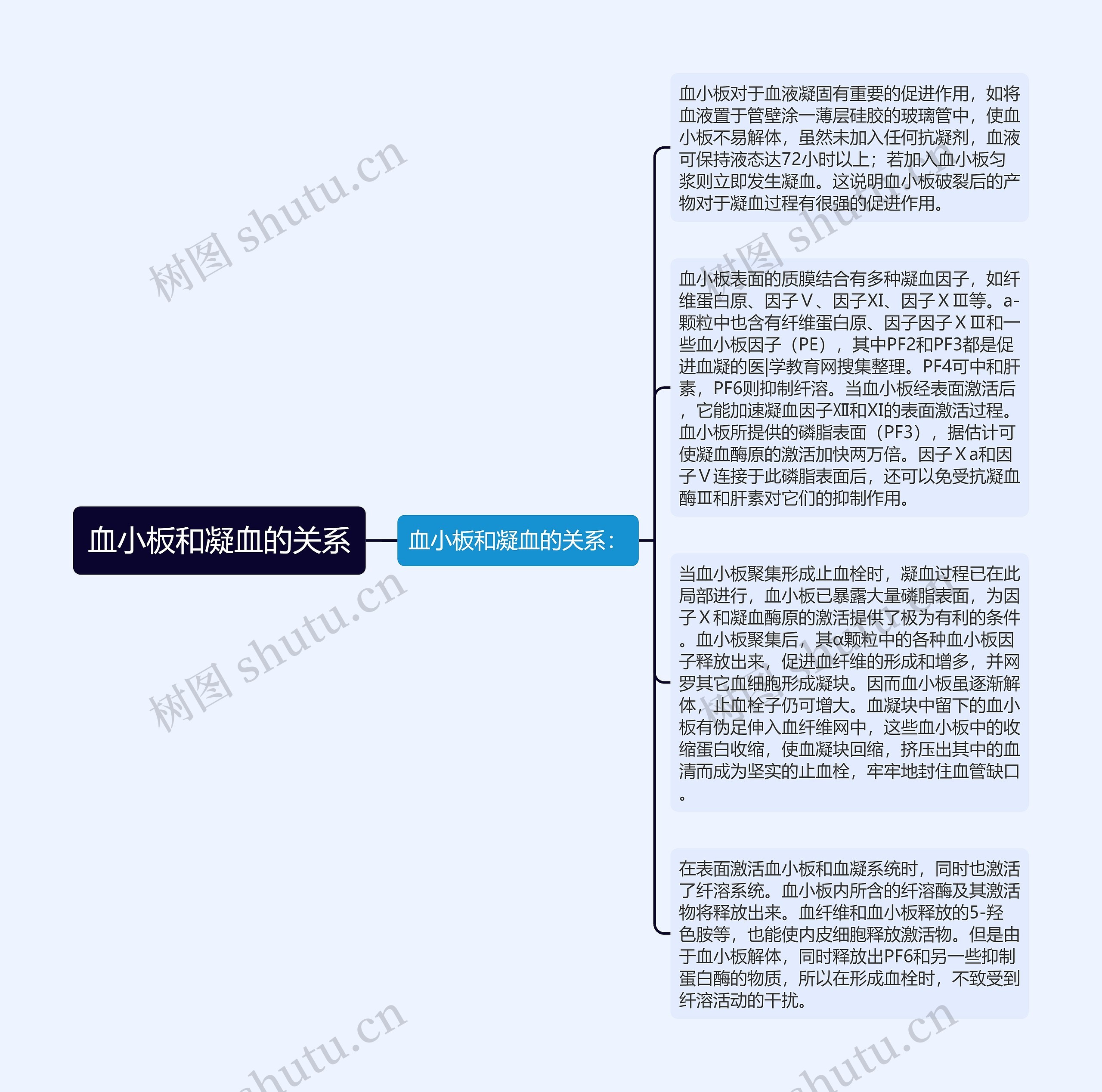 血小板和凝血的关系思维导图