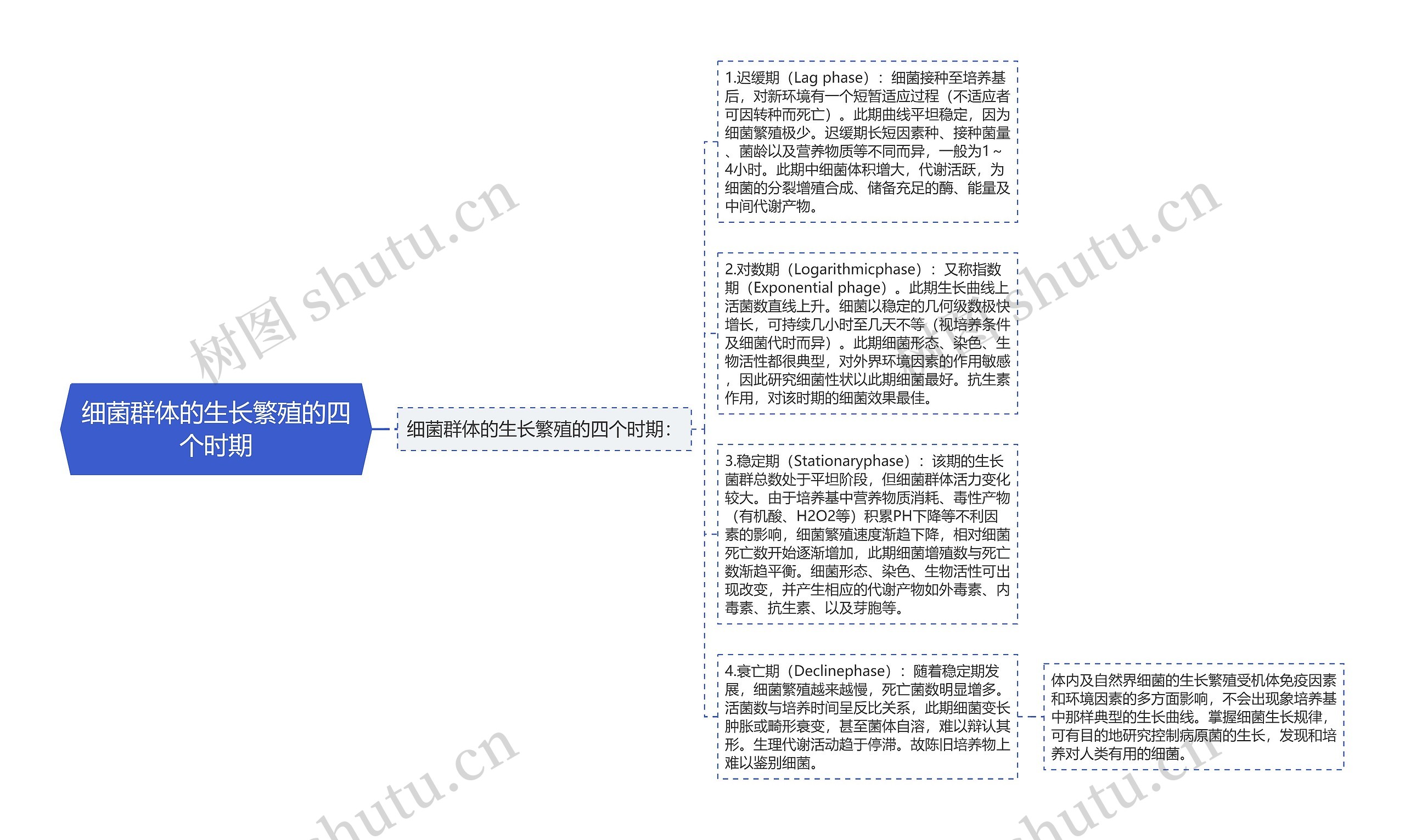 细菌群体的生长繁殖的四个时期