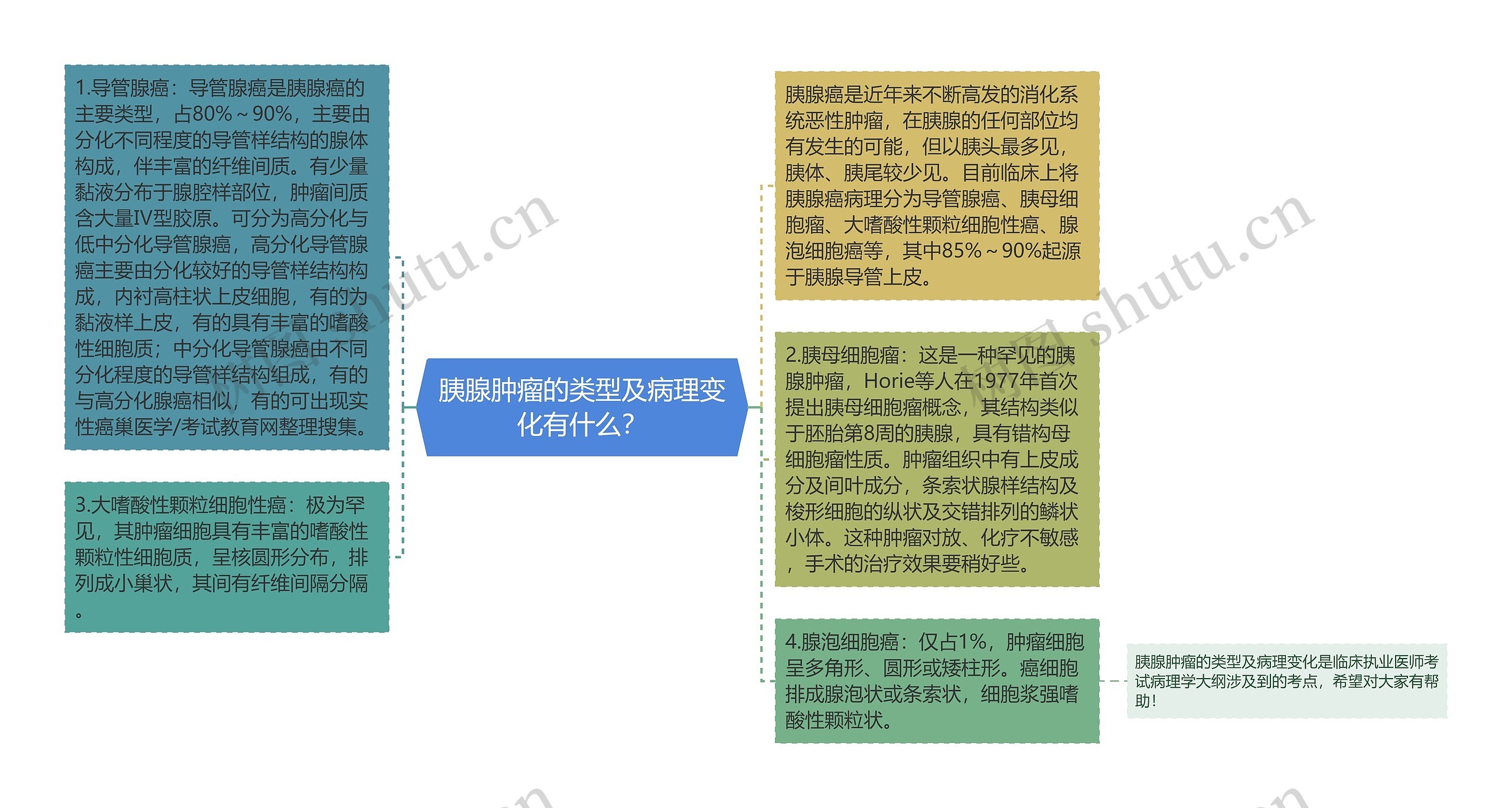 胰腺肿瘤的类型及病理变化有什么？思维导图