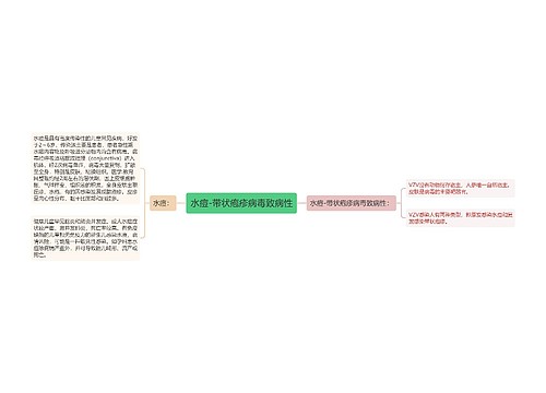 水痘-带状疱疹病毒致病性