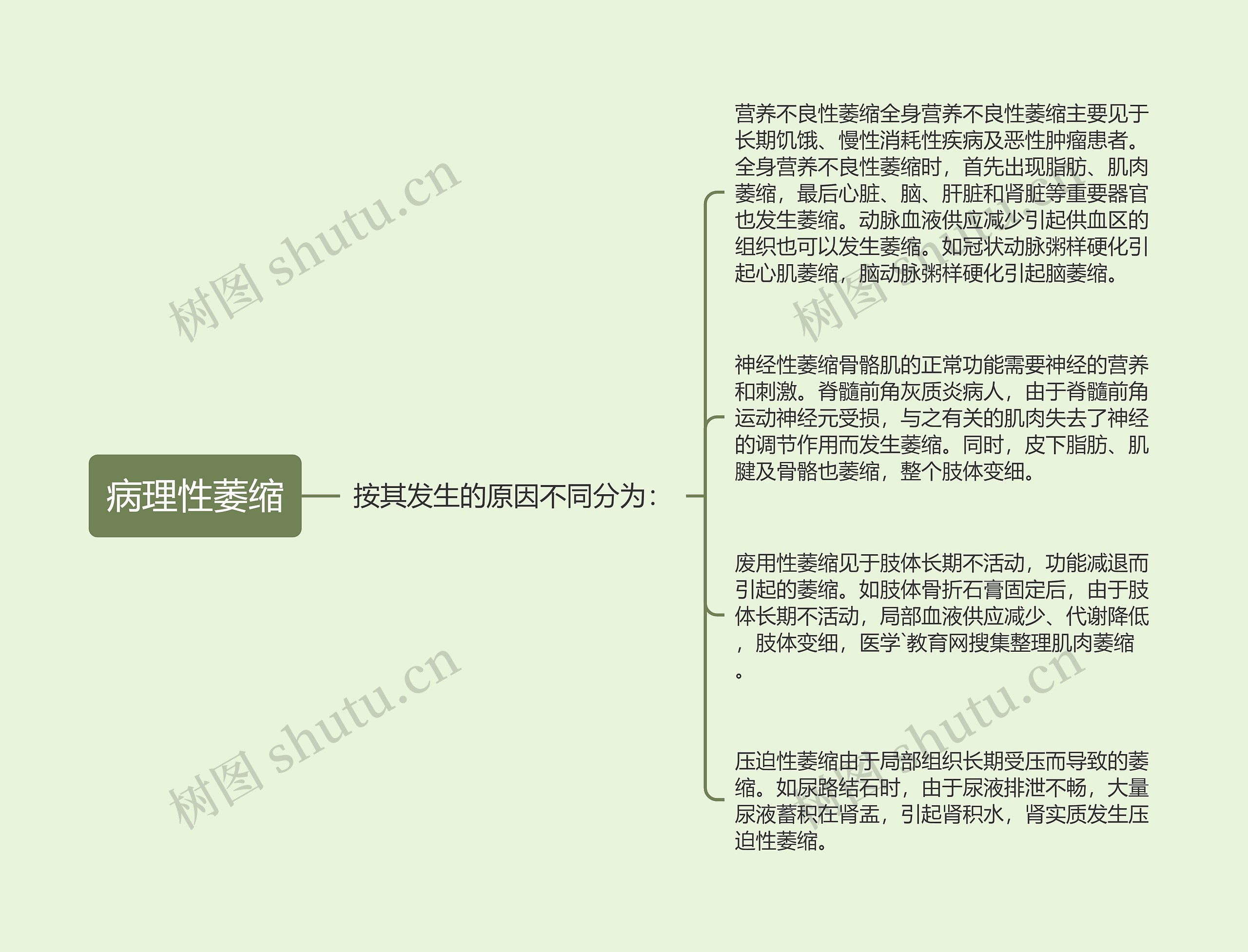 病理性萎缩 病理性萎缩