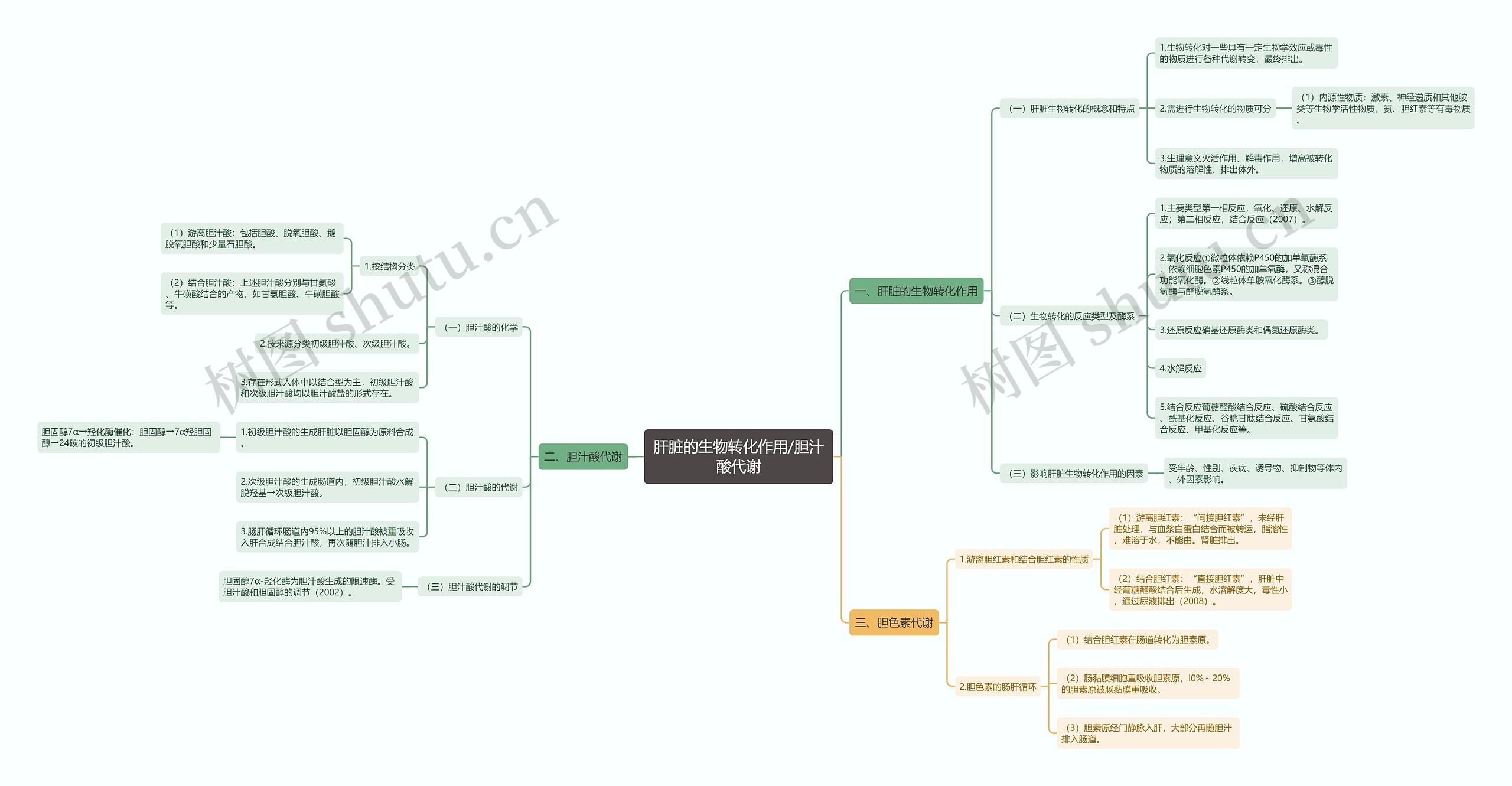 肝脏的生物转化作用/胆汁酸代谢思维导图