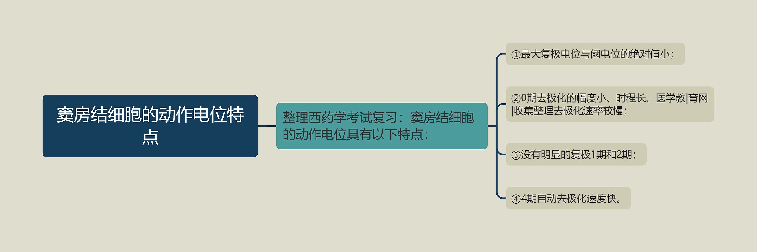 窦房结细胞的动作电位特点 窦房结细胞的动作电位特点