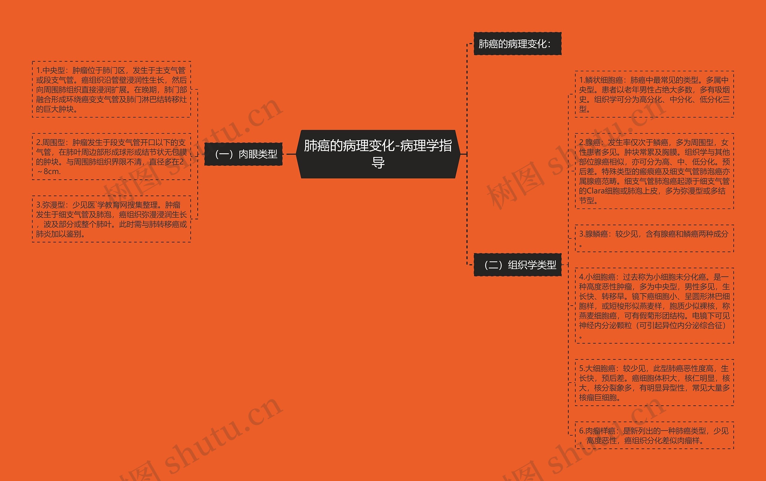 肺癌的病理变化-病理学指导 肺癌的病理变化-病理学指导