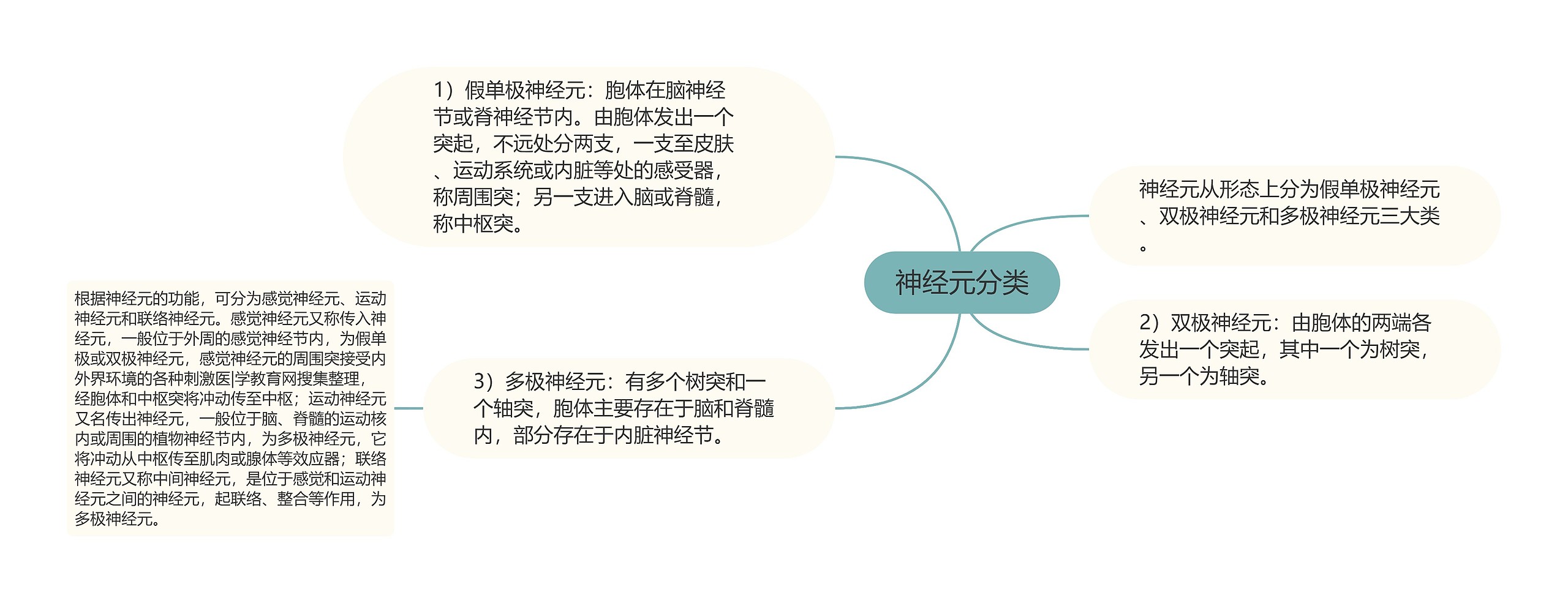 神经元分类思维导图